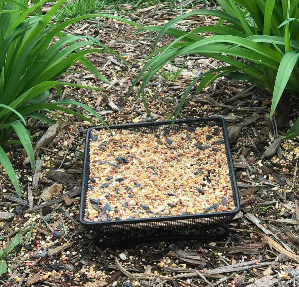 Photo 1 of NEW CASE OF HOME-X 8” SQUARE METAL MESH GROUND BIRD FEEDER TRAY (20 PCS/CASE)