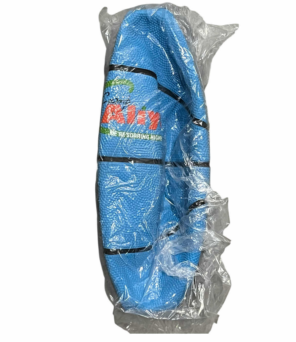 Photo 1 of NEW CASE OF CAMP ALIYA BLUE BASKETBALLS (20PCS PER CASE)