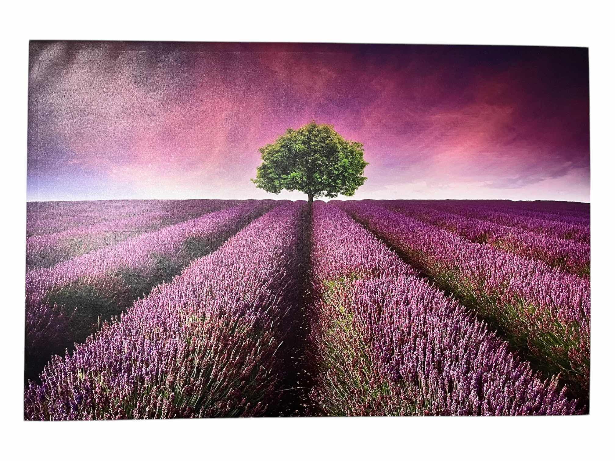 Photo 1 of LAVENDER FIELD CANVAS ARTWORK 36” X 24”