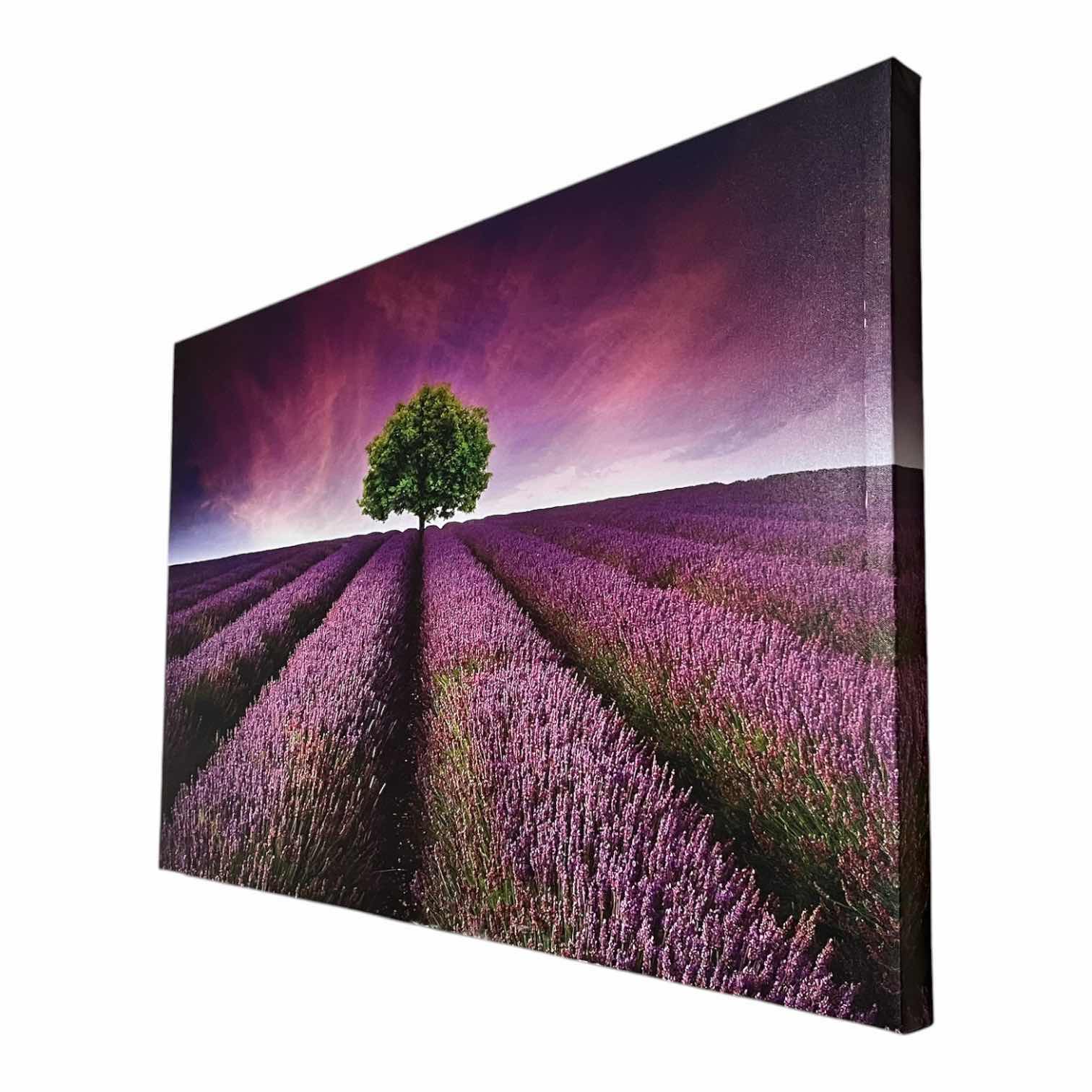 Photo 1 of LAVENDER FIELD CANVAS ARTWORK 36” X 24”