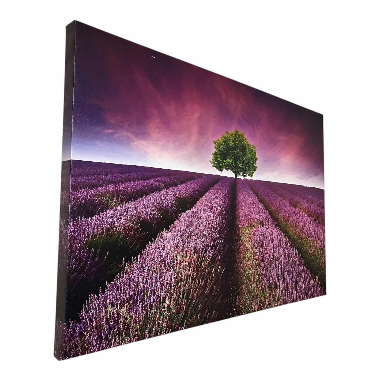 Photo 1 of LAVENDER FIELD CANVAS ARTWORK 36” X 24”