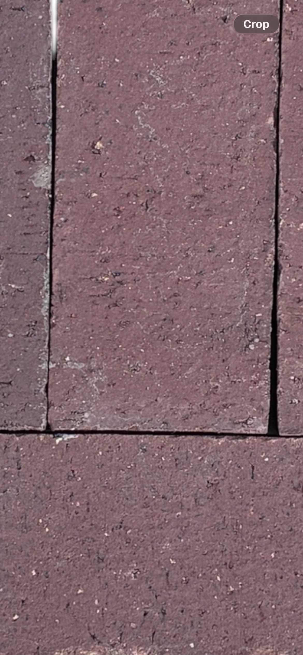 Photo 1 of FIRECLAY MATTE BRICK FINISH TILE 2.5” X 7.5” (27PCS PER CASE/20 CASES)