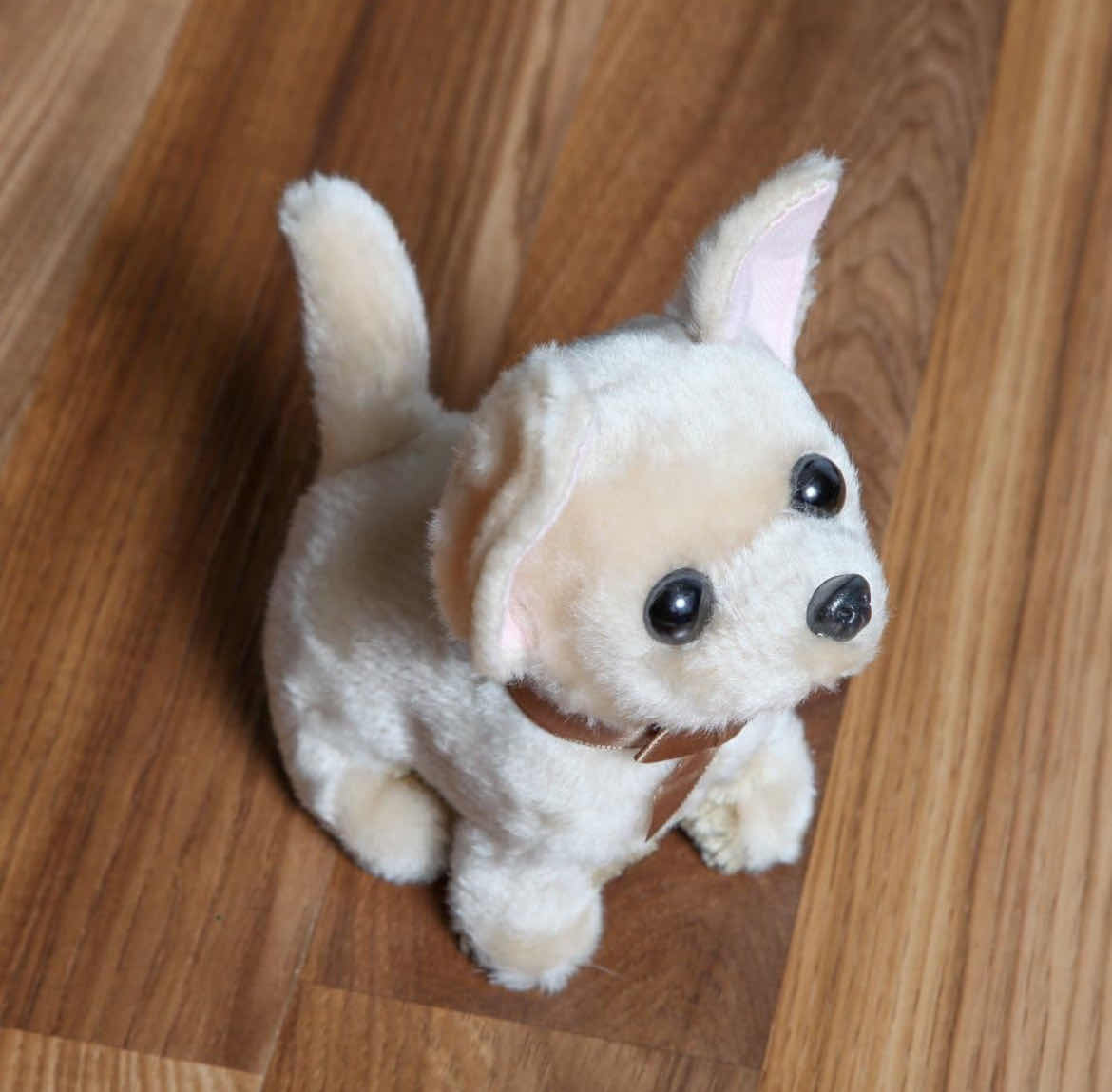 Photo 1 of CASE OF 24 HOME-X PLUSH DANCING DOG CHIHUAHUA SOUND AND MOTION TOY