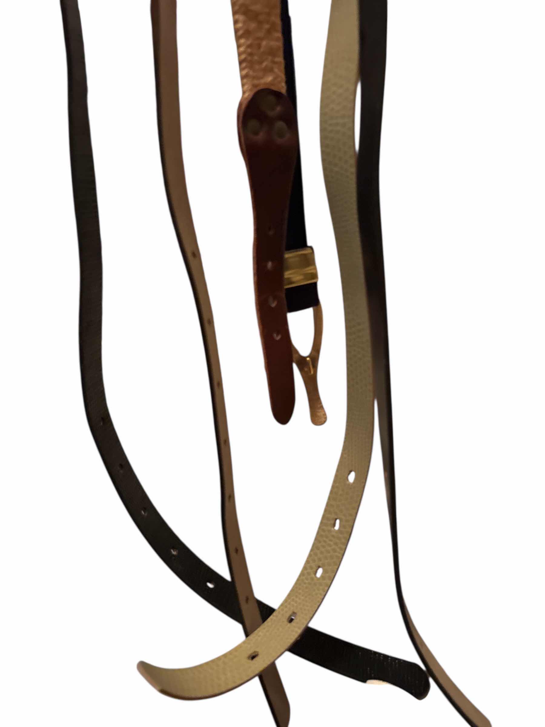 Photo 1 of (7)PCS WOMENS BELT