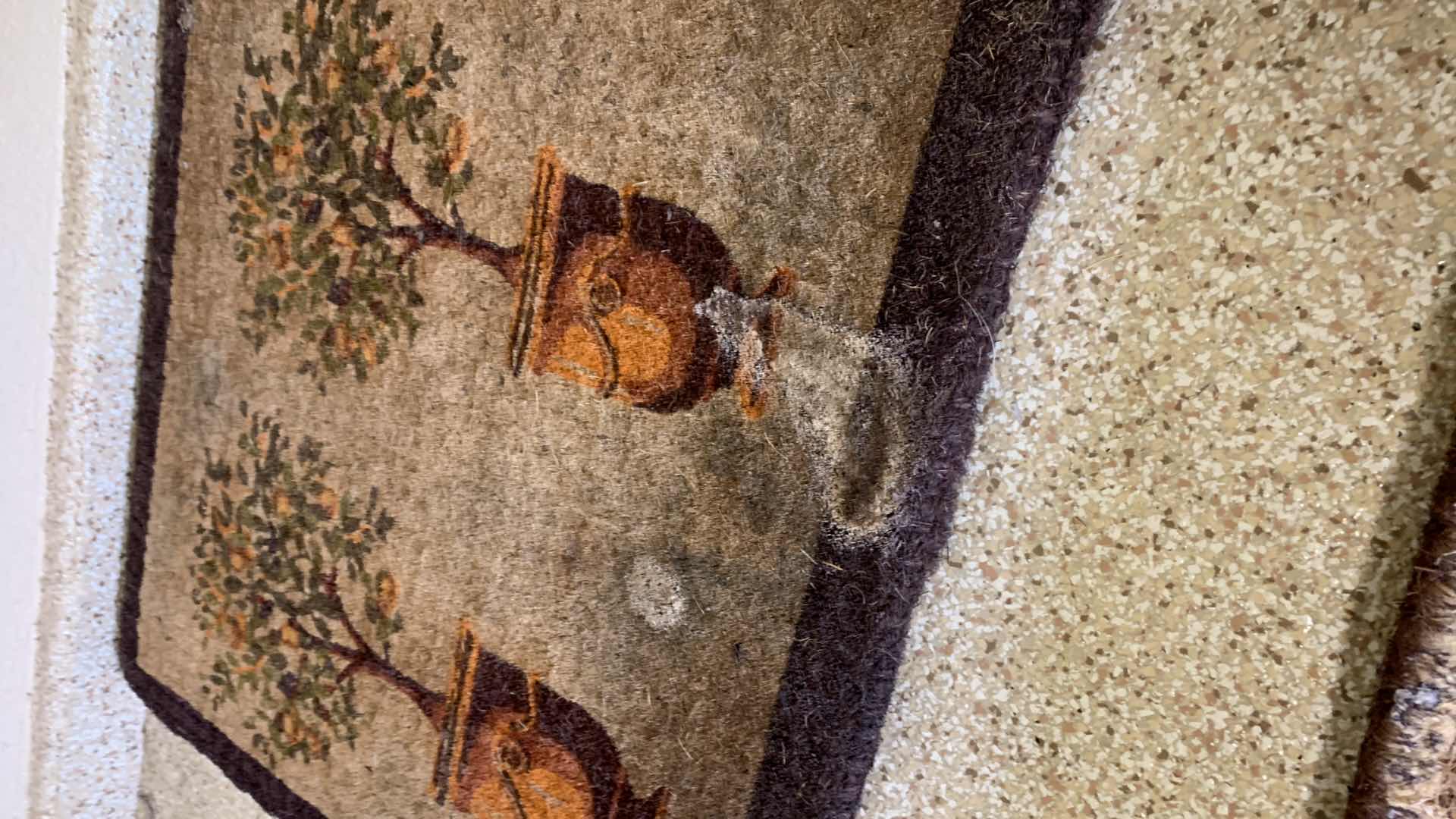 Photo 1 of 2 FLOOR ENTRANCE RUGS