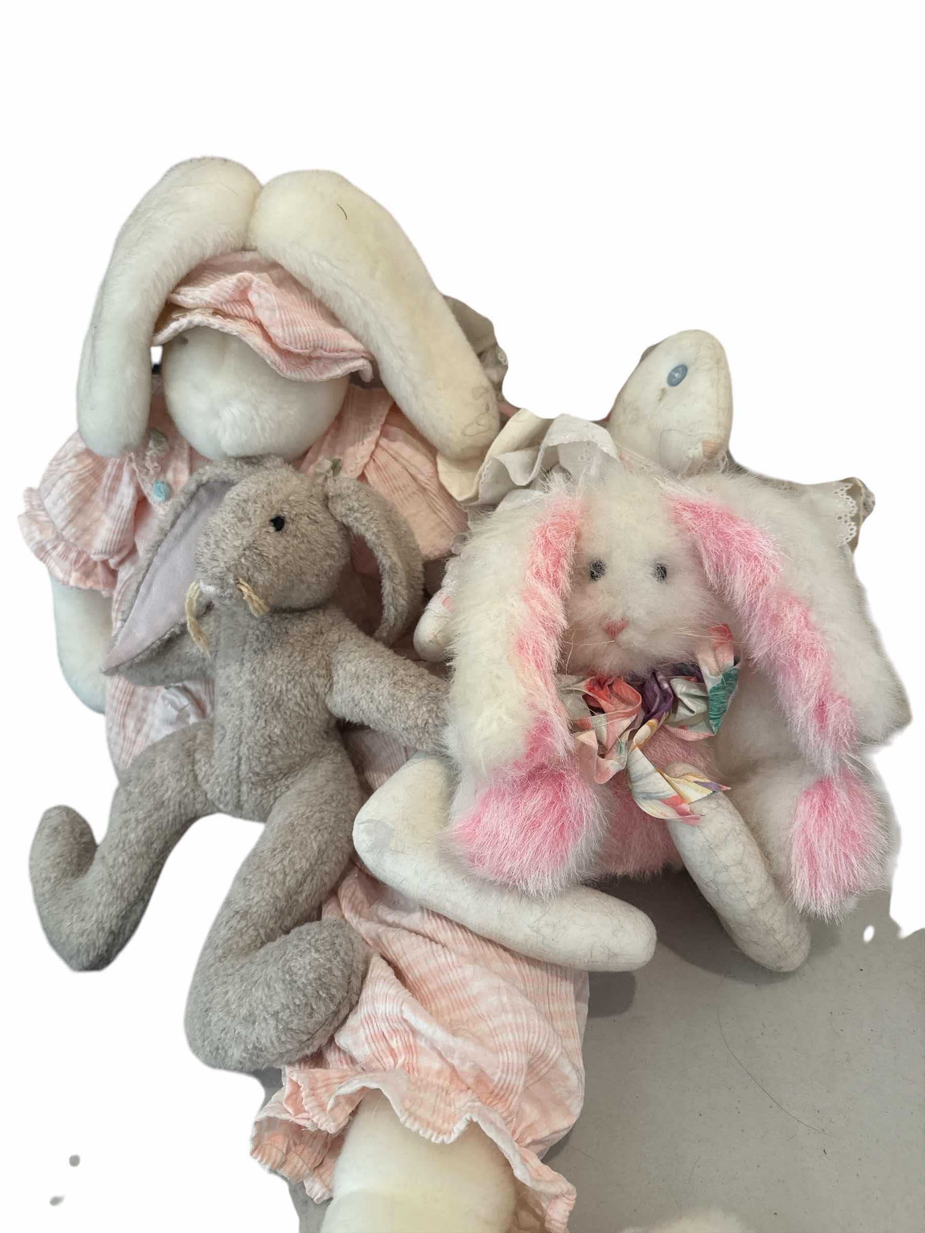 Photo 1 of BUNNY COLLECTION