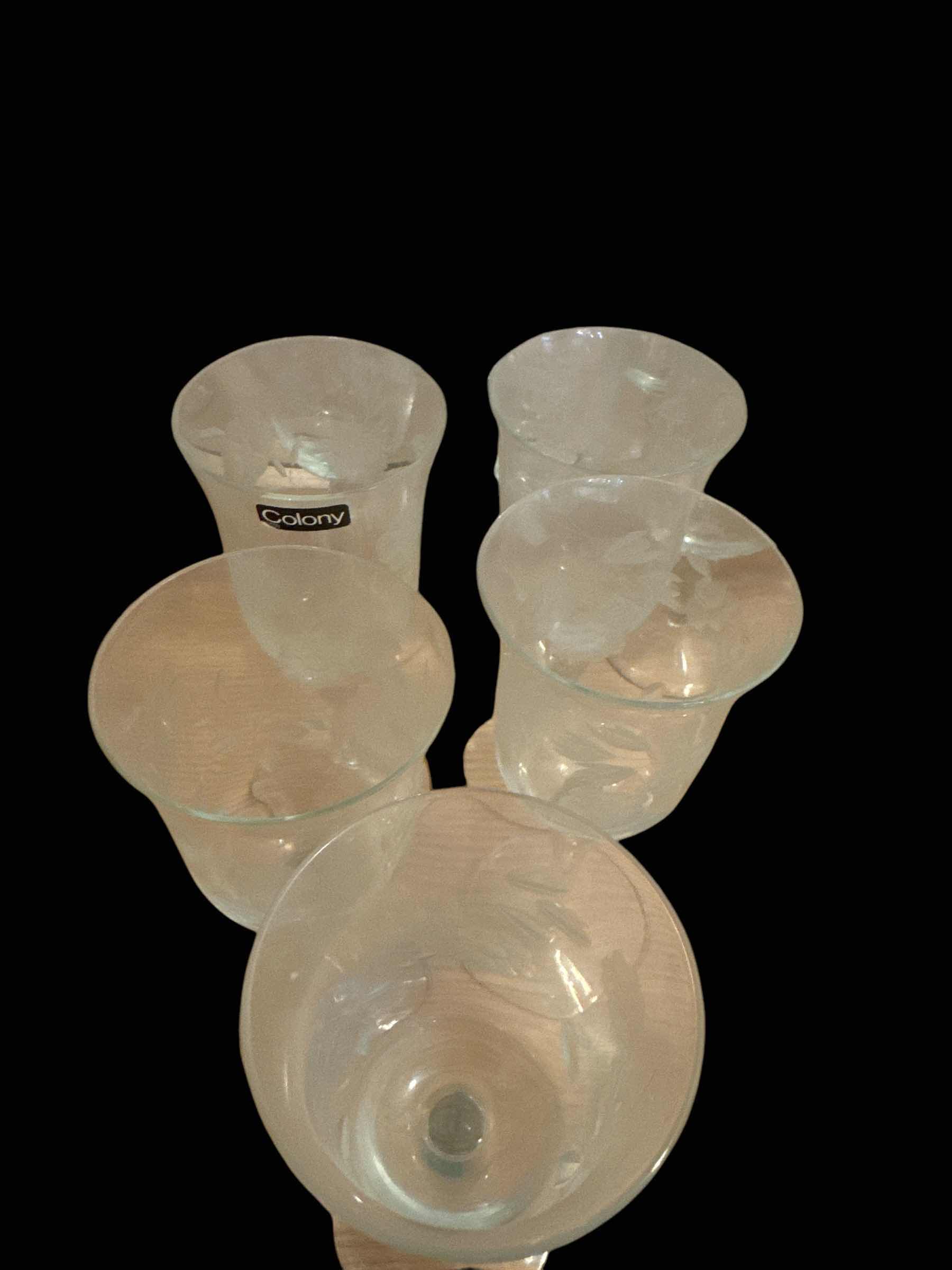 Photo 1 of 11 FLORAL ETCHED WINE GOBLETS