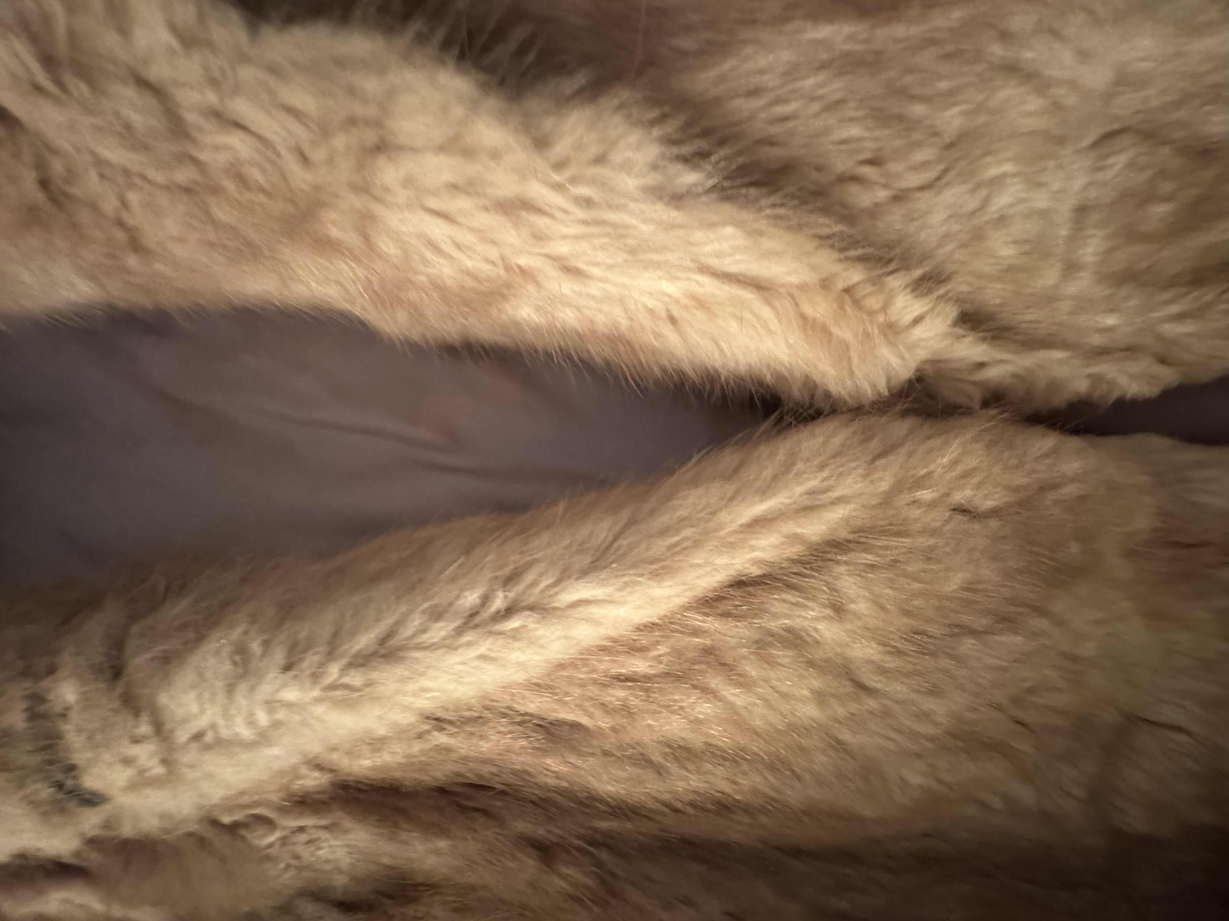 Photo 1 of VINTAGE FUR COAT KINGDIG NEW YORK, TAN