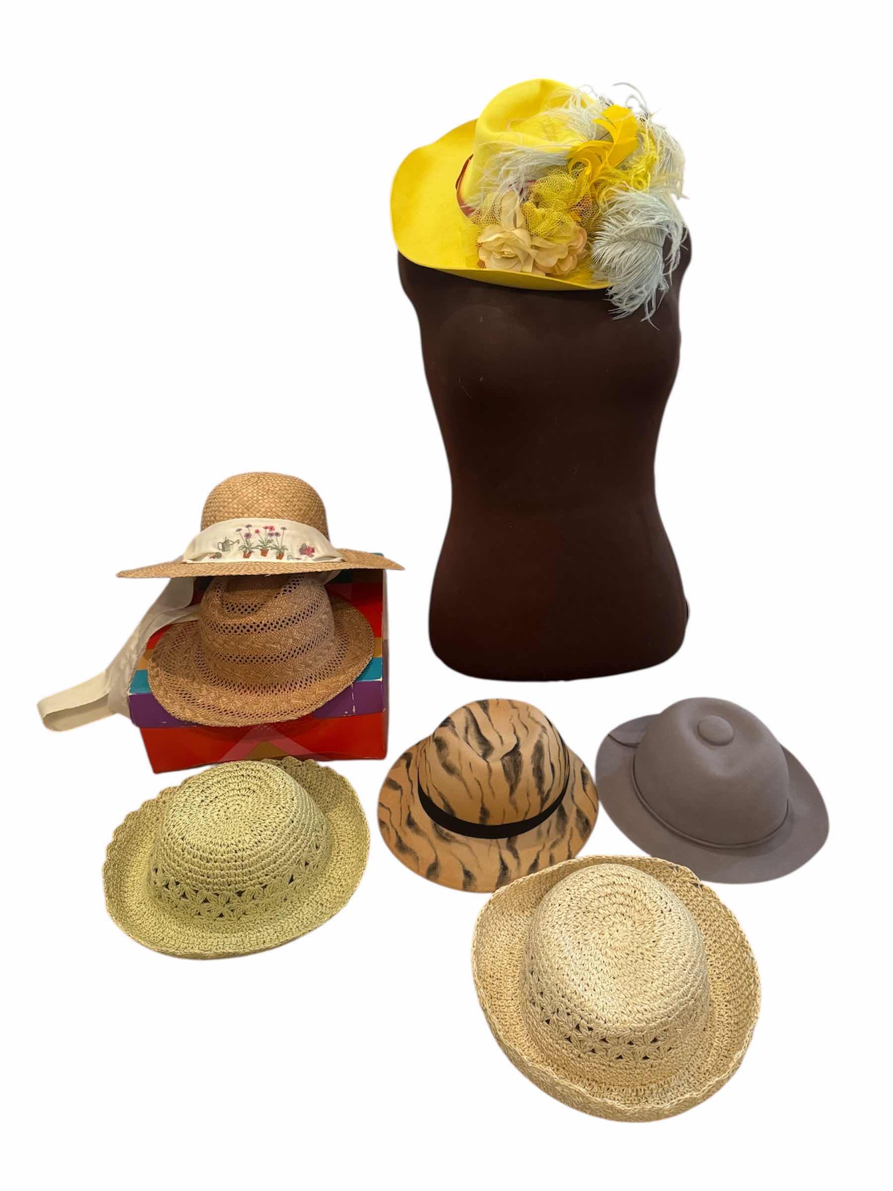 Photo 1 of 80
7-ASSORTED HAT COLLECTION WITH DISPLAY

W14” AND SMALLER