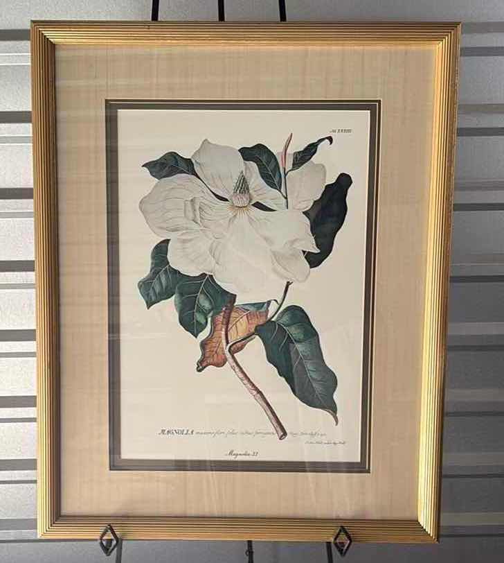 Photo 1 of FRAMED ART MAGNOLIA PRINT 27”X2”x34”H