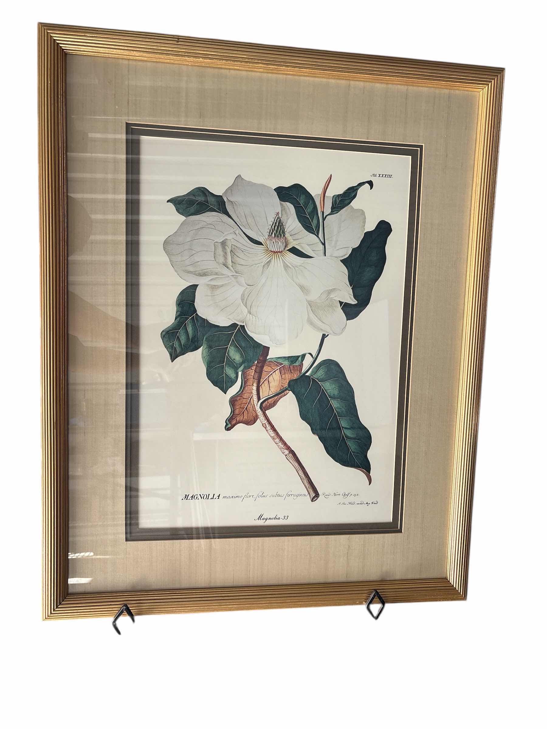 Photo 1 of FRAMED ART MAGNOLIA PRINT 27”X2”x34”H