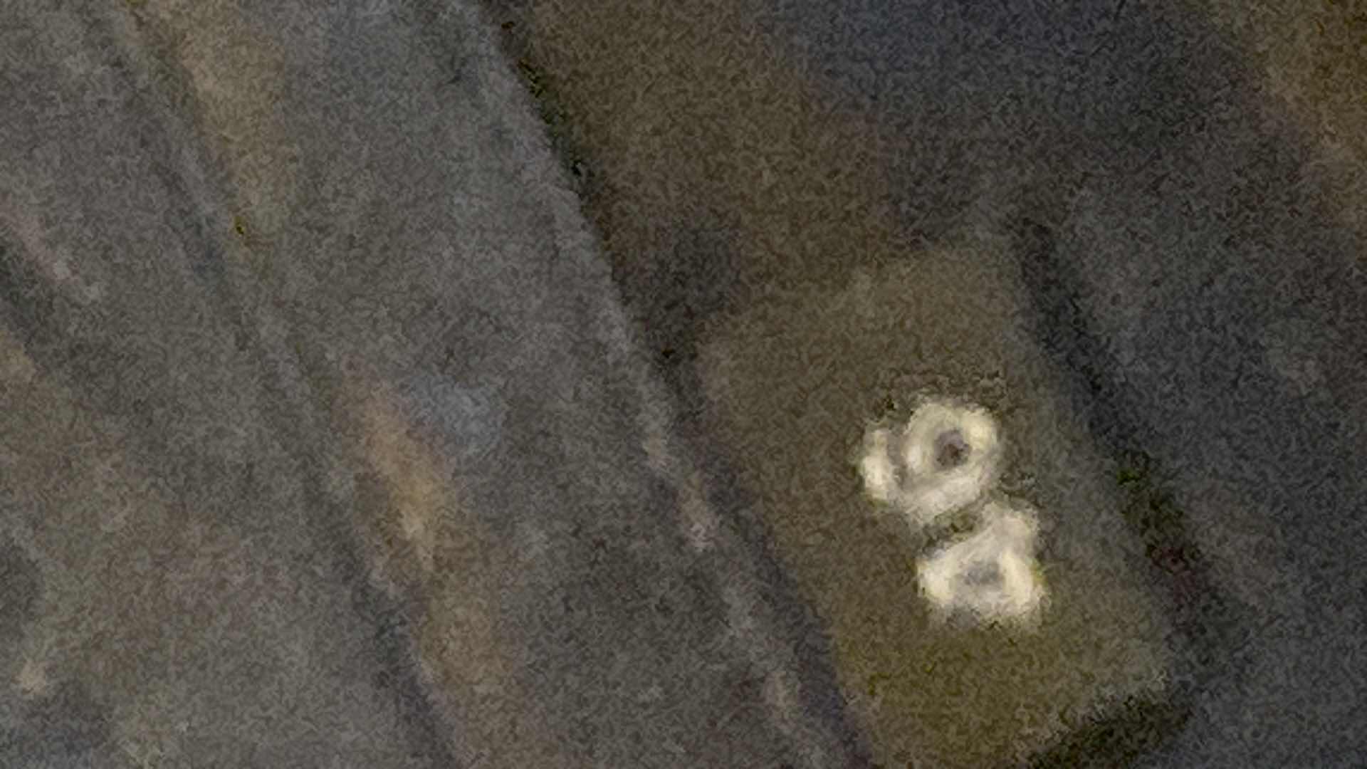 Photo 1 of JHANE BARNES LEATHER JACKET MENS SIZE 46