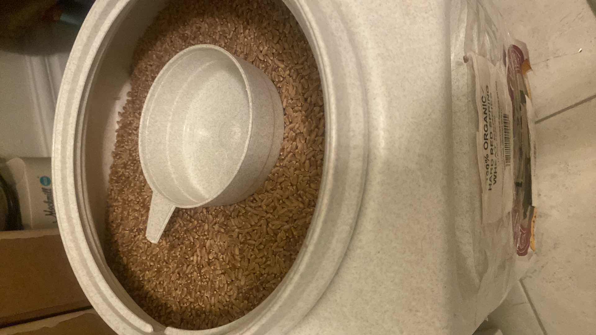 Photo 1 of LARGE GAMMA CONTAINER WITH WHEAT BERRIES