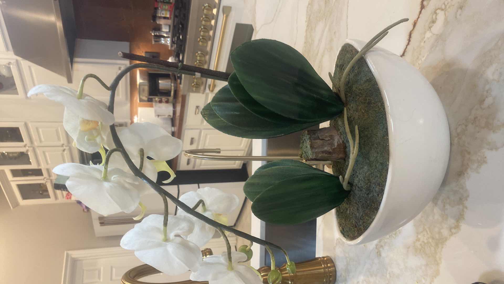 Photo 1 of MODERN ZGALLERIE ORCHID IN WHITE VASE 11” X 19”