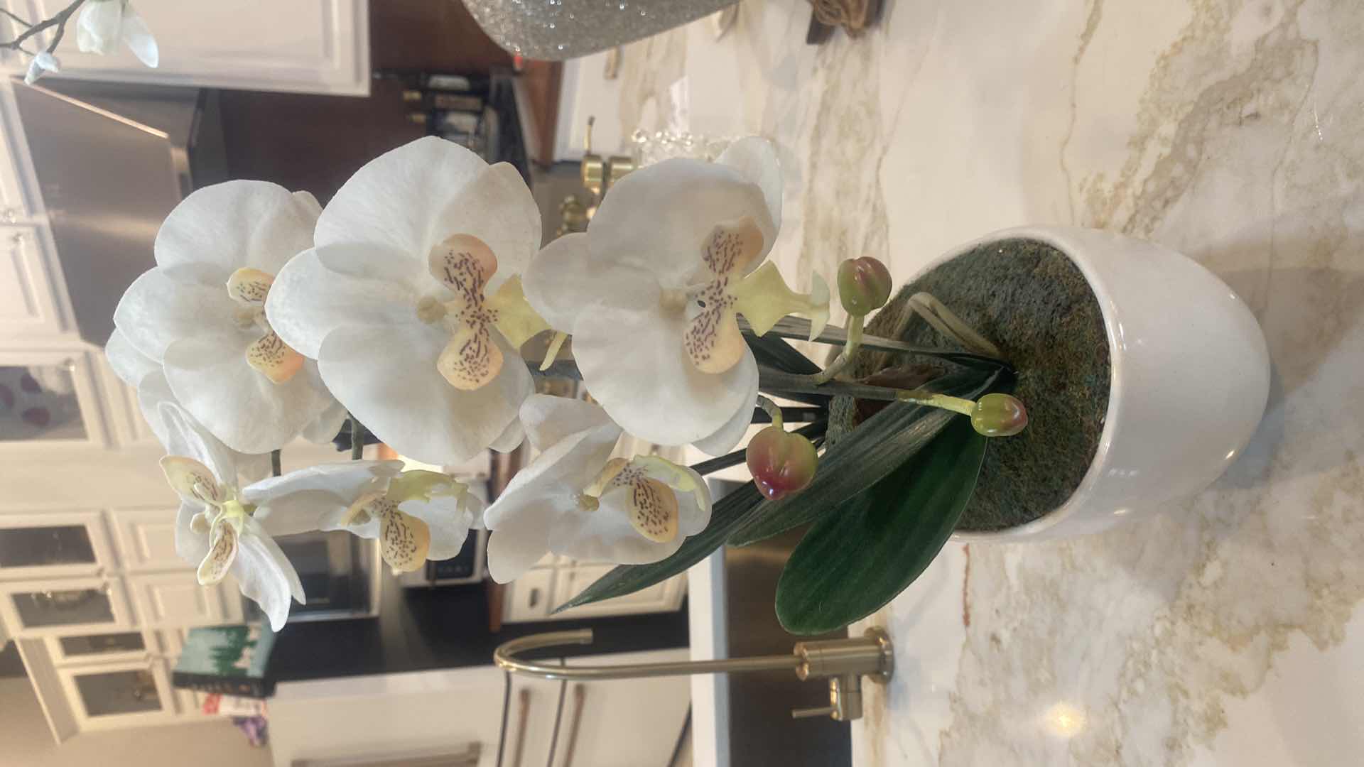 Photo 1 of MODERN ZGALLERIE ORCHID IN WHITE VASE 11” X 19”