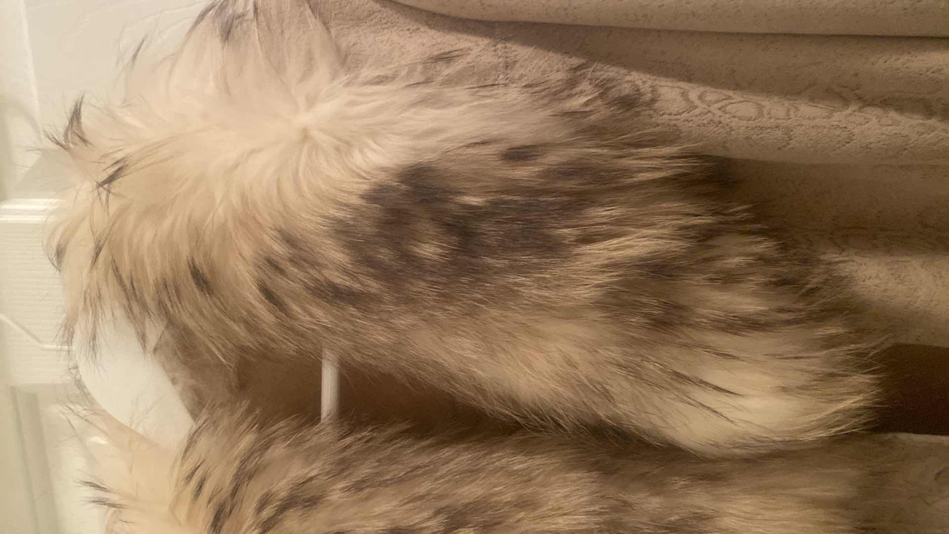 Photo 1 of WOMENS DESIGNER SNAKE EMBOSSED SHEEPSKIN JACKET WITH REAL FUR TRIM EST SIZE LARGE/ X LARGE