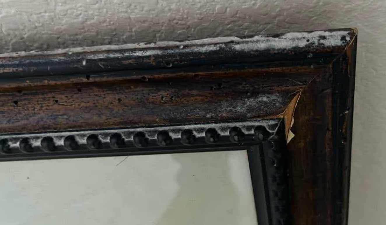 Photo 1 of $40.   BED BATH & BEYOND PALM BOTANICAL FRAMED ARTWORK 13” X 22”