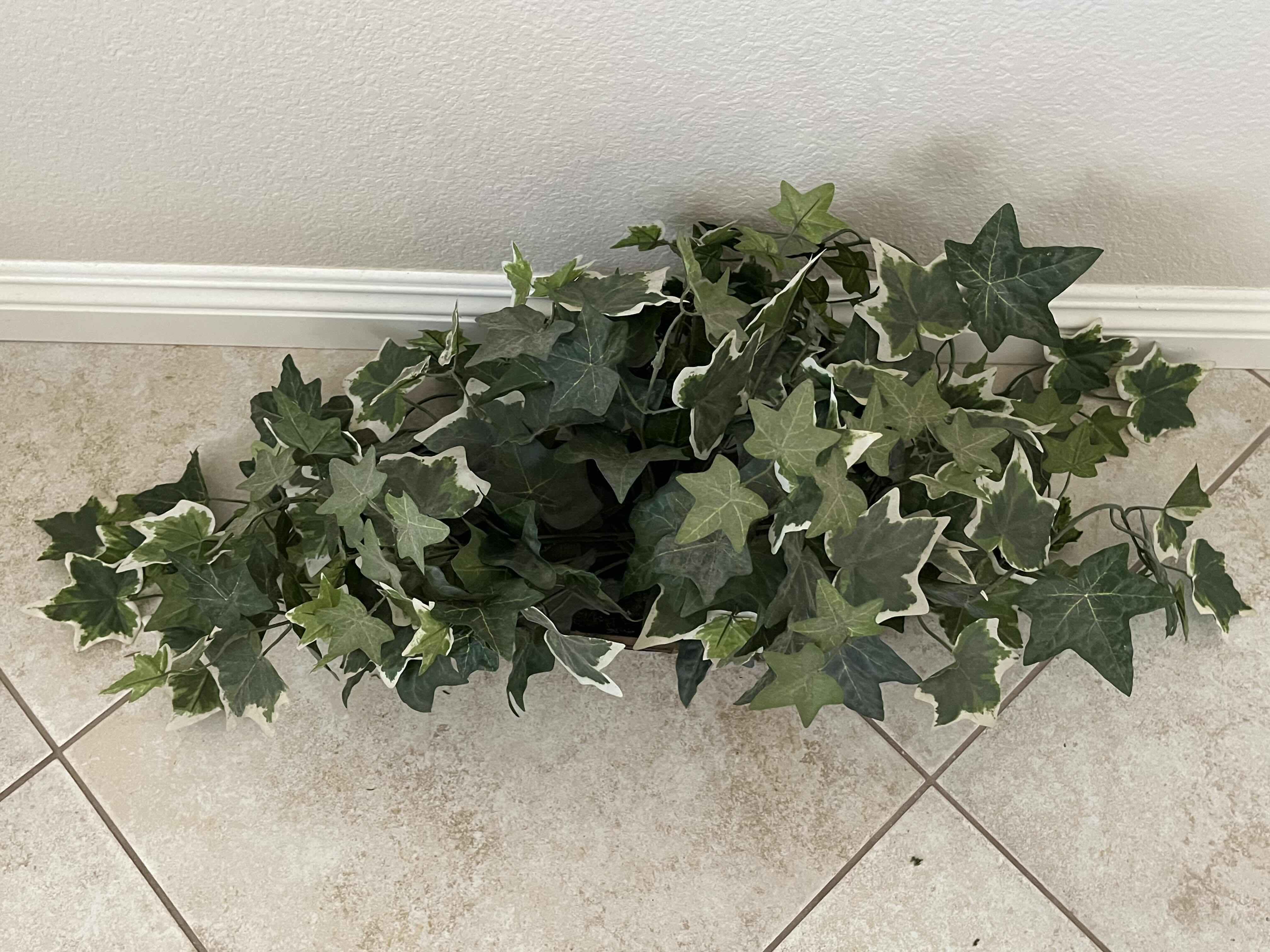 Photo 1 of IVY ARTIFICIAL PLANT W WICKER BASKET13” X 5” H4”