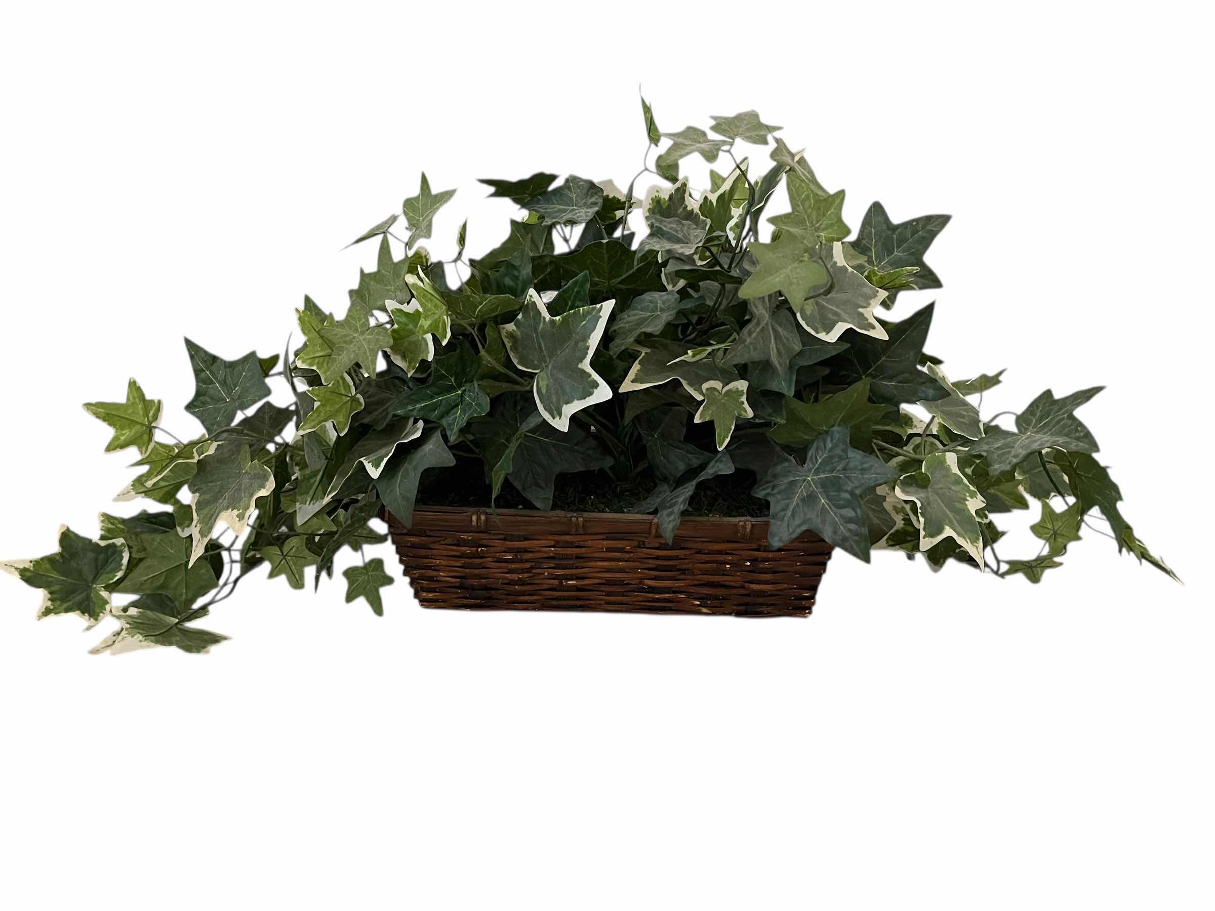 Photo 1 of IVY ARTIFICIAL PLANT W WICKER BASKET13” X 5” H4”