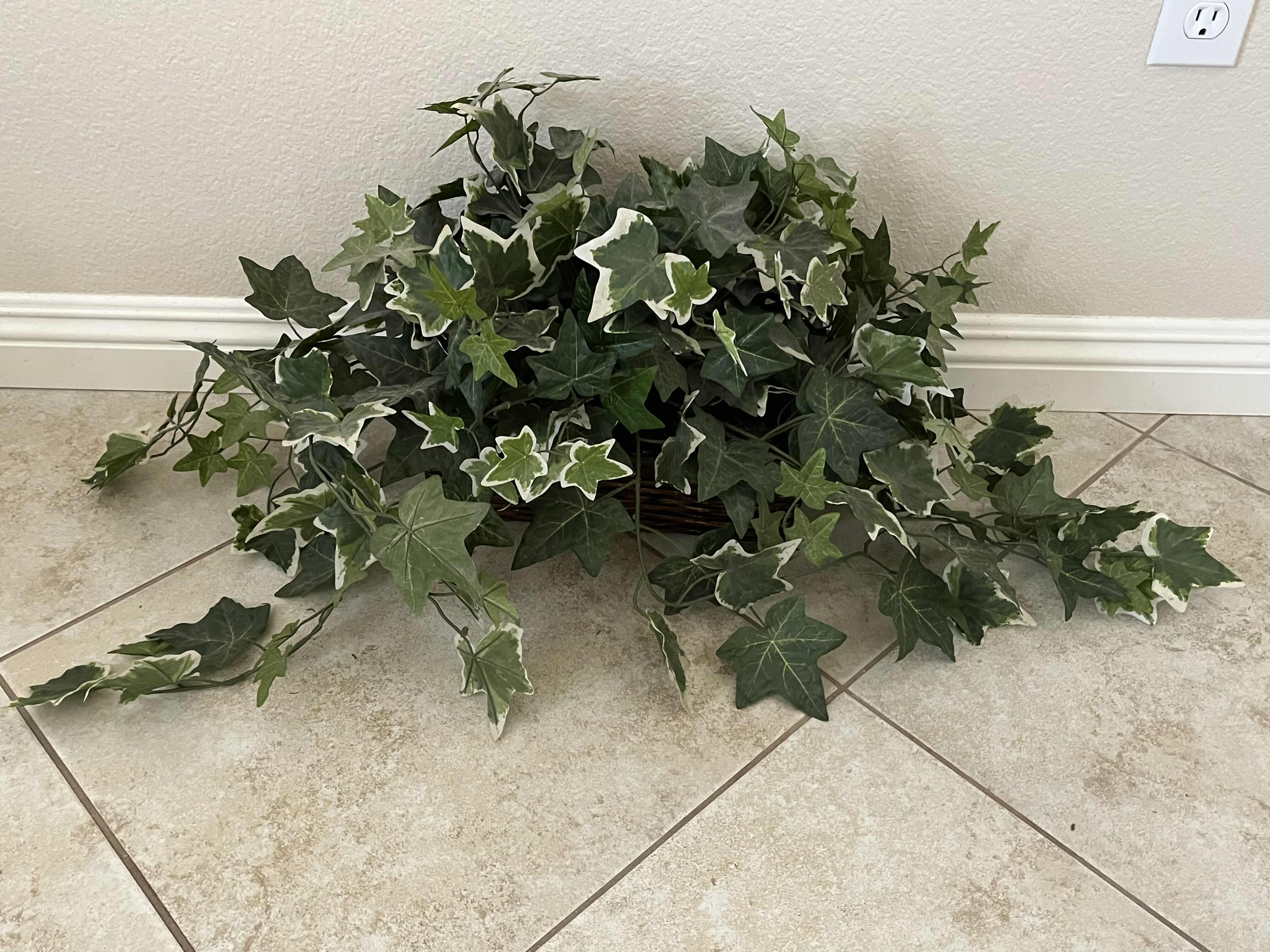 Photo 1 of IVY ARTIFICIAL PLANT W WICKER BASKET13” X 5” H4”