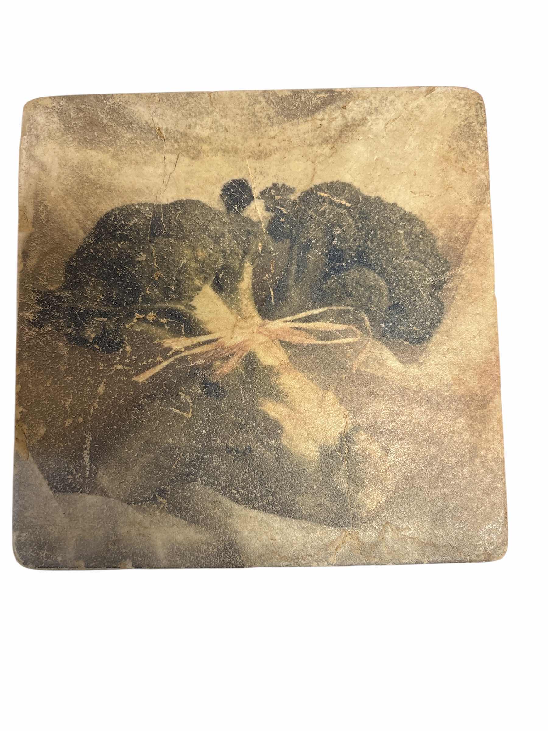 Photo 1 of STUDIO VERTU VEGETABLE ART STONE TILES (3) 8” X 8”