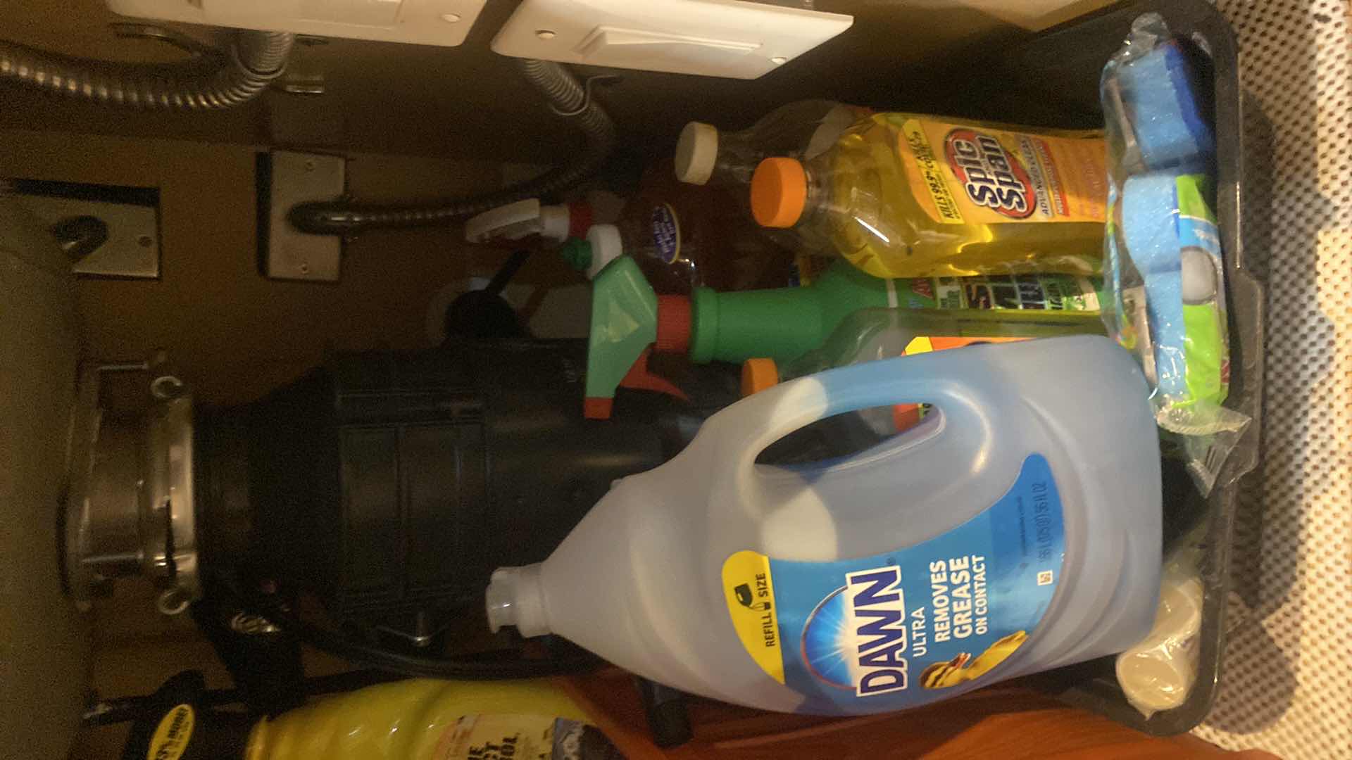 View 4 of CONTENTS UNDER KITCHEN SINK – CLEANING SUPPLIES