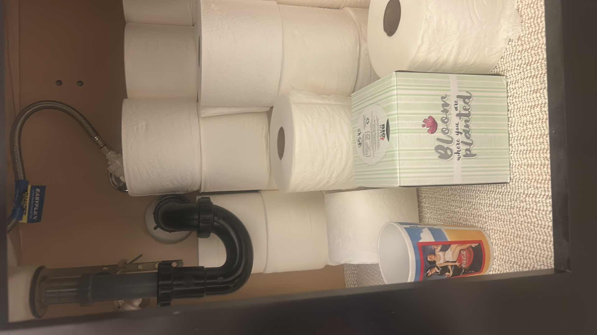 View 4 of CONTENTS UNDER SINK - TOILET PAPER & MORE