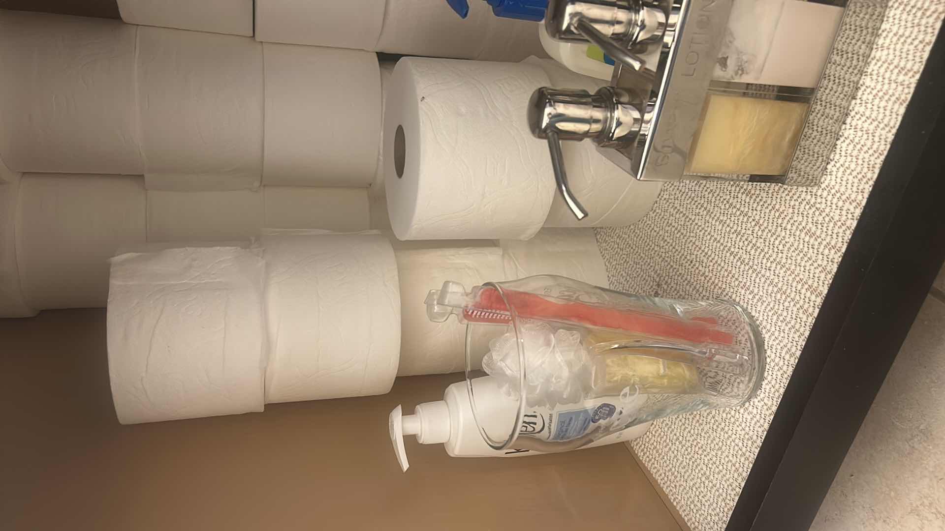 View 6 of CONTENTS UNDER SINK - TOILET PAPER & MORE