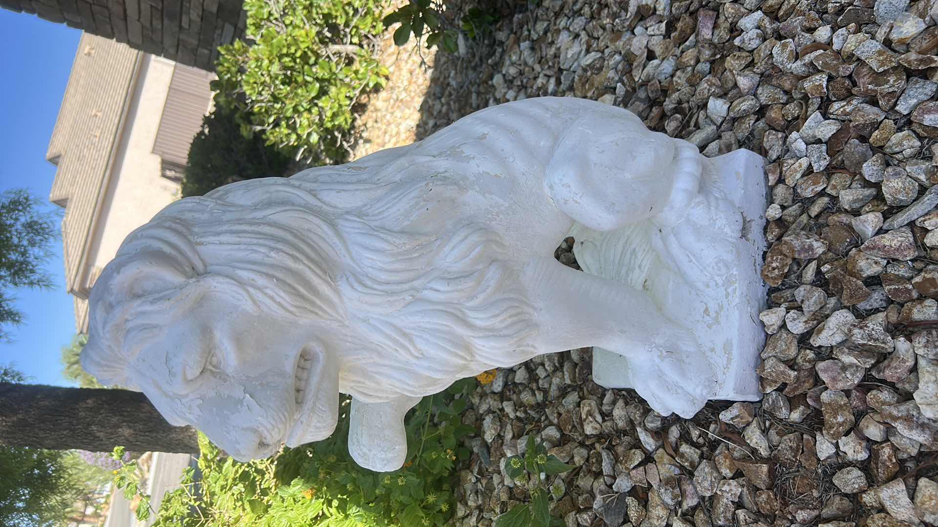 Photo 1 of PAIR OF VERY HEAVY PLASTER LIONS H23”