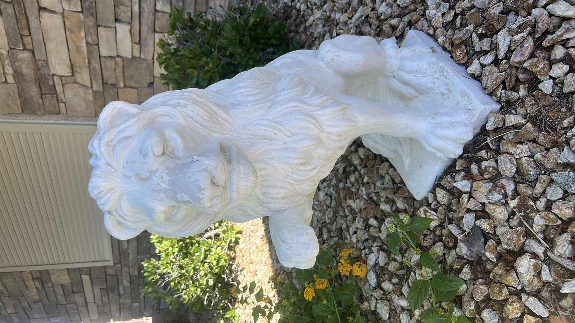 Photo 1 of PAIR OF VERY HEAVY PLASTER LIONS H23”