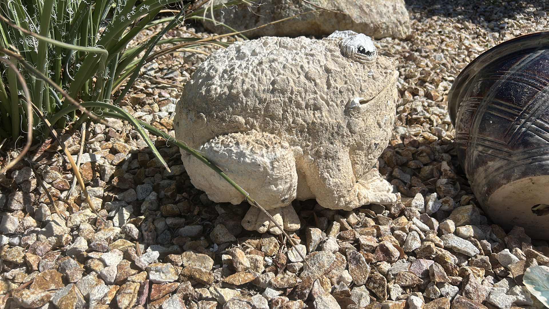 Photo 1 of CHUNKY OUTDOOR CERAMIC BULLFROG 16” x 11”