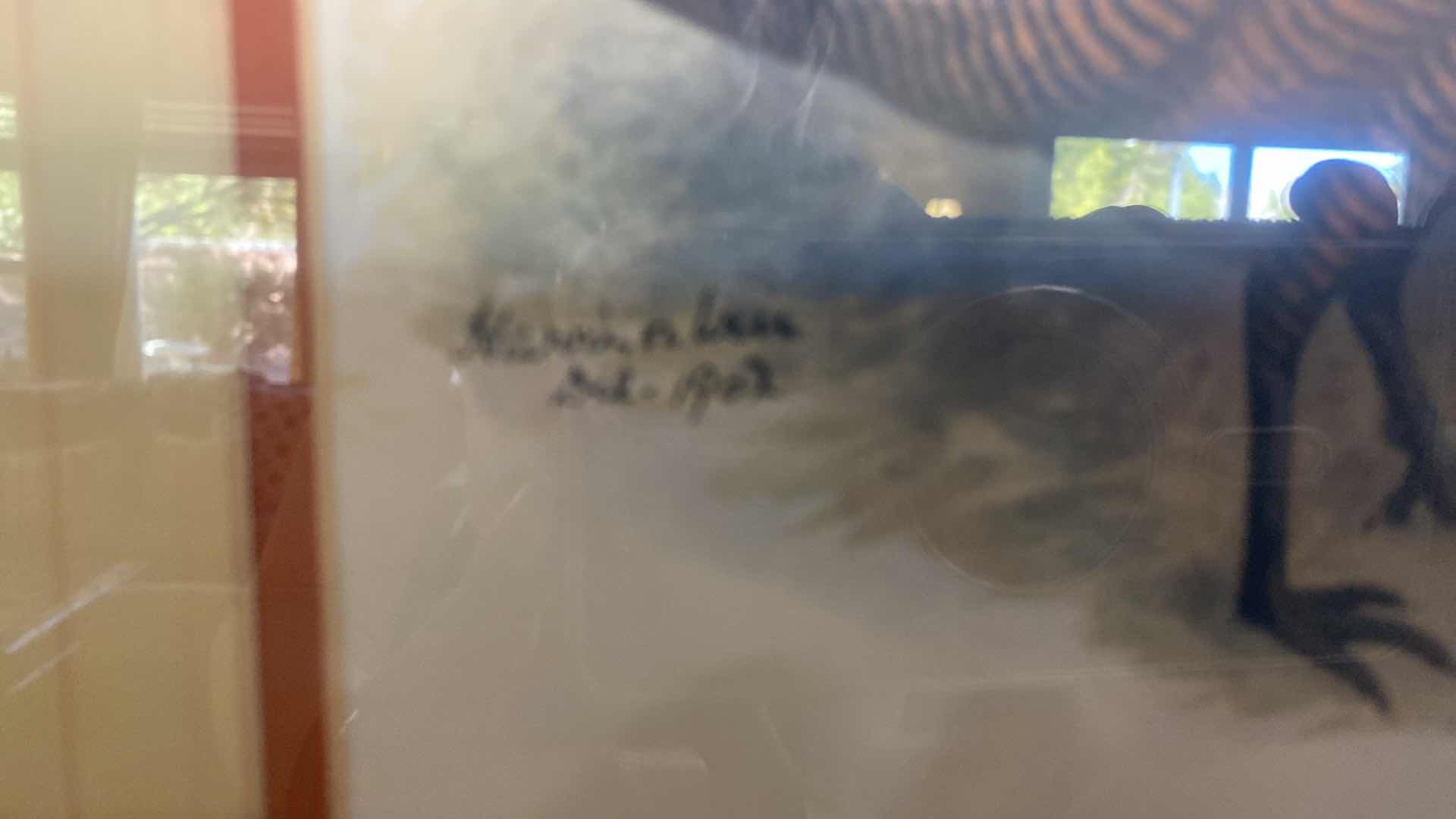 Photo 1 of PAIR OF FRAMED CHICKEN ARTWORK LARGEST 15 1/2” x 17 1/2”