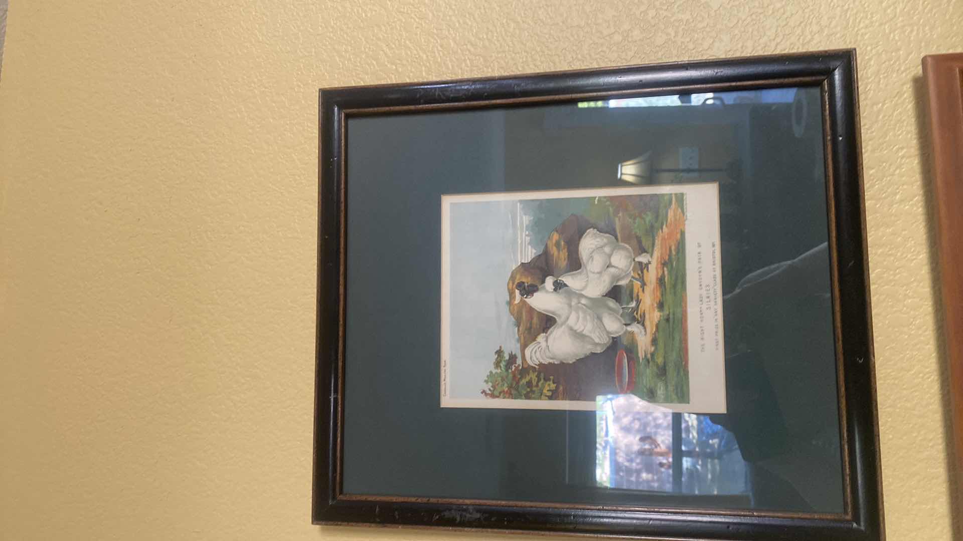 Photo 1 of PAIR OF FRAMED CHICKEN ARTWORK LARGEST 15 1/2” x 17 1/2”
