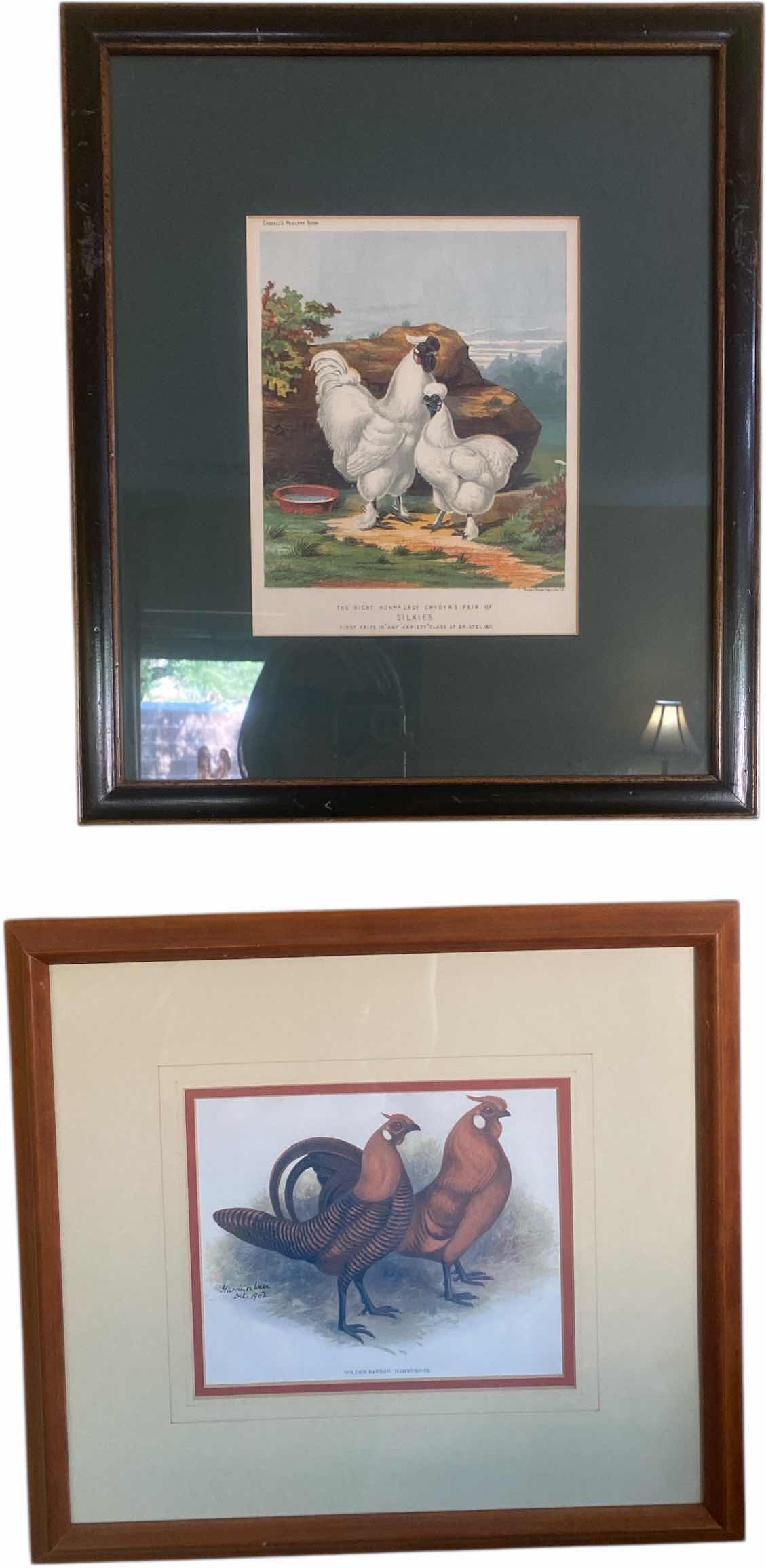 Photo 1 of PAIR OF FRAMED CHICKEN ARTWORK LARGEST 15 1/2” x 17 1/2”