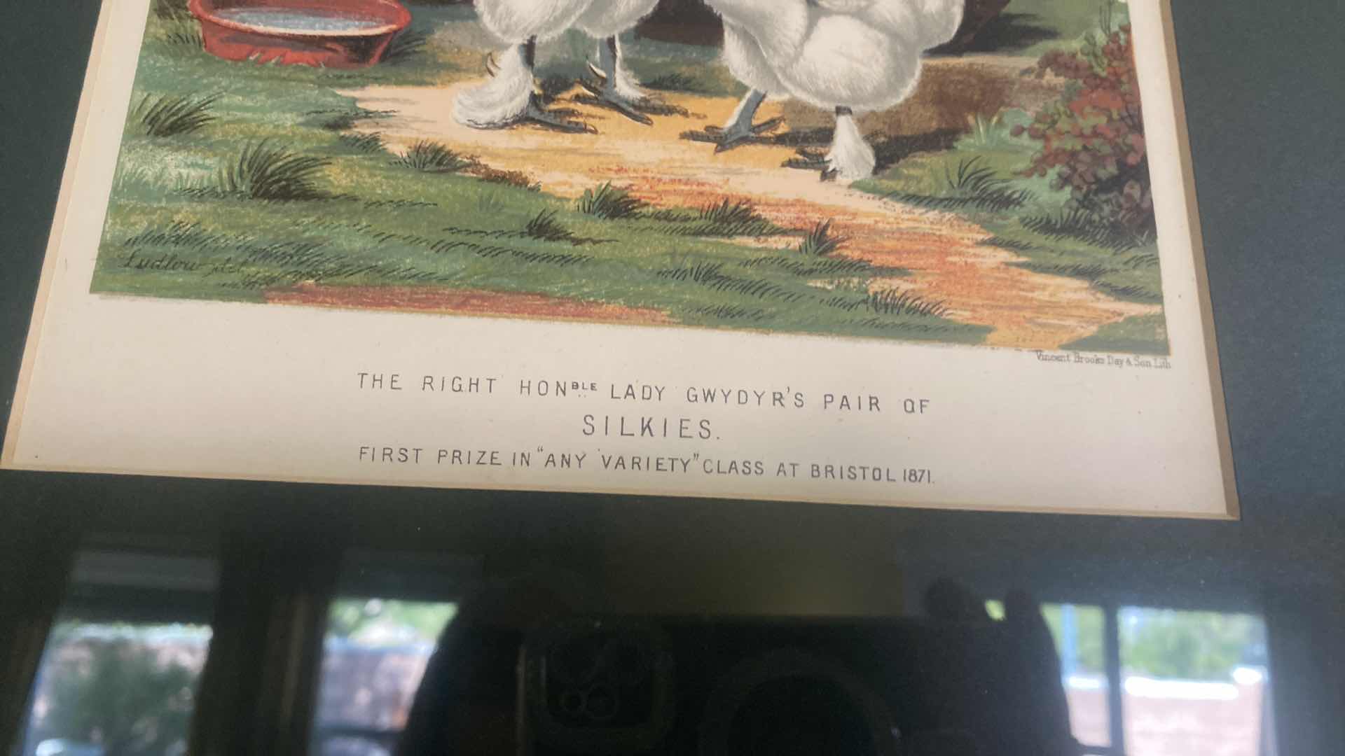 Photo 1 of PAIR OF FRAMED CHICKEN ARTWORK LARGEST 15 1/2” x 17 1/2”