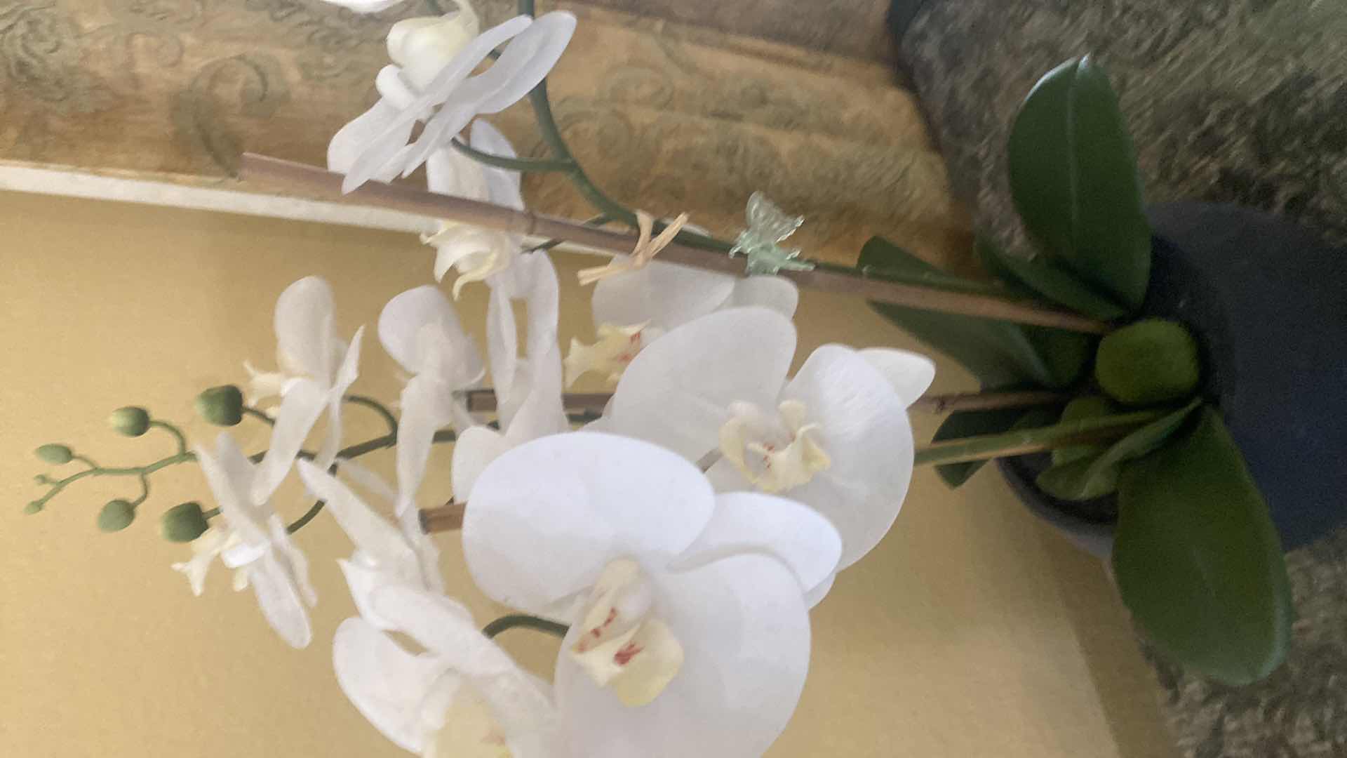 Photo 1 of FAUX ORCHID IN CLAY POT H24”