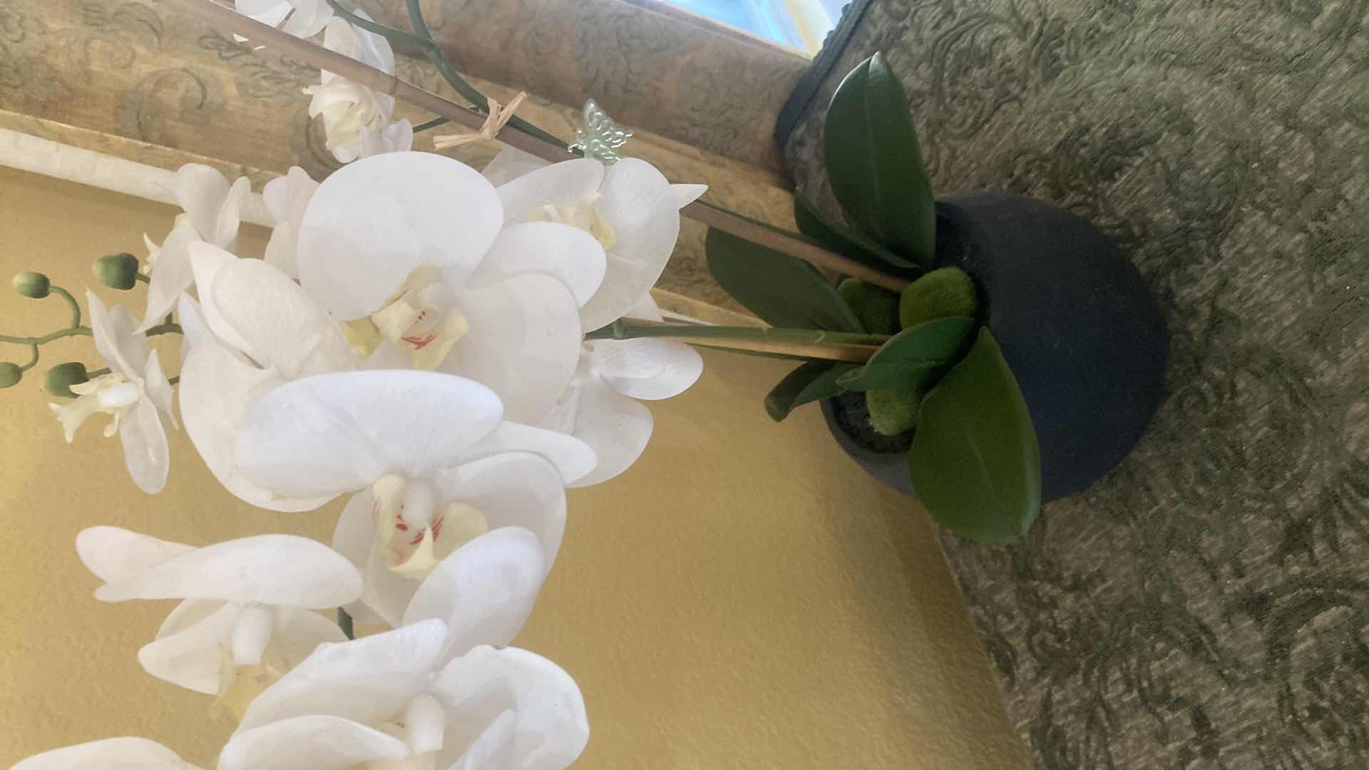 Photo 1 of FAUX ORCHID IN CLAY POT H24”