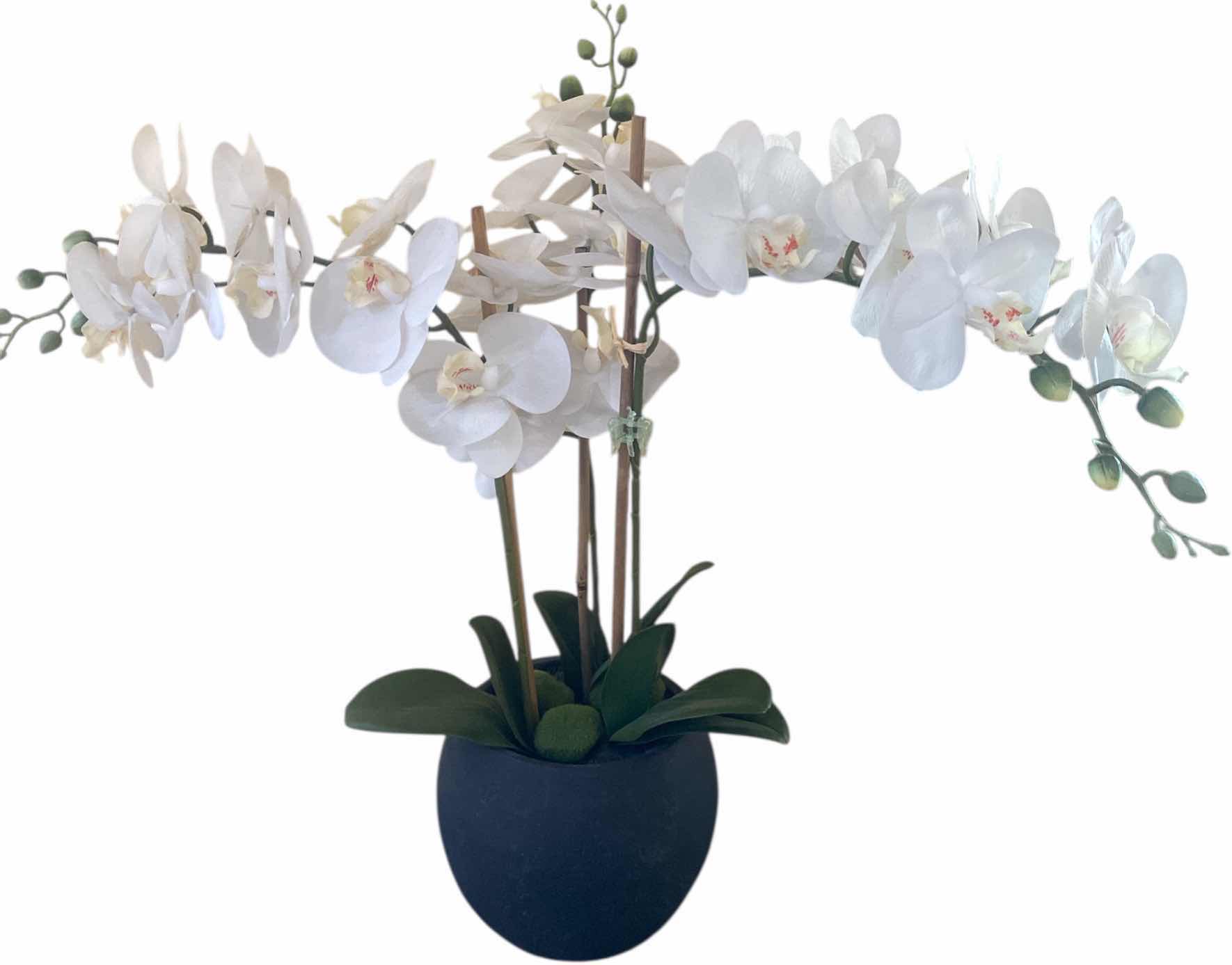 Photo 1 of FAUX ORCHID IN CLAY POT H24”