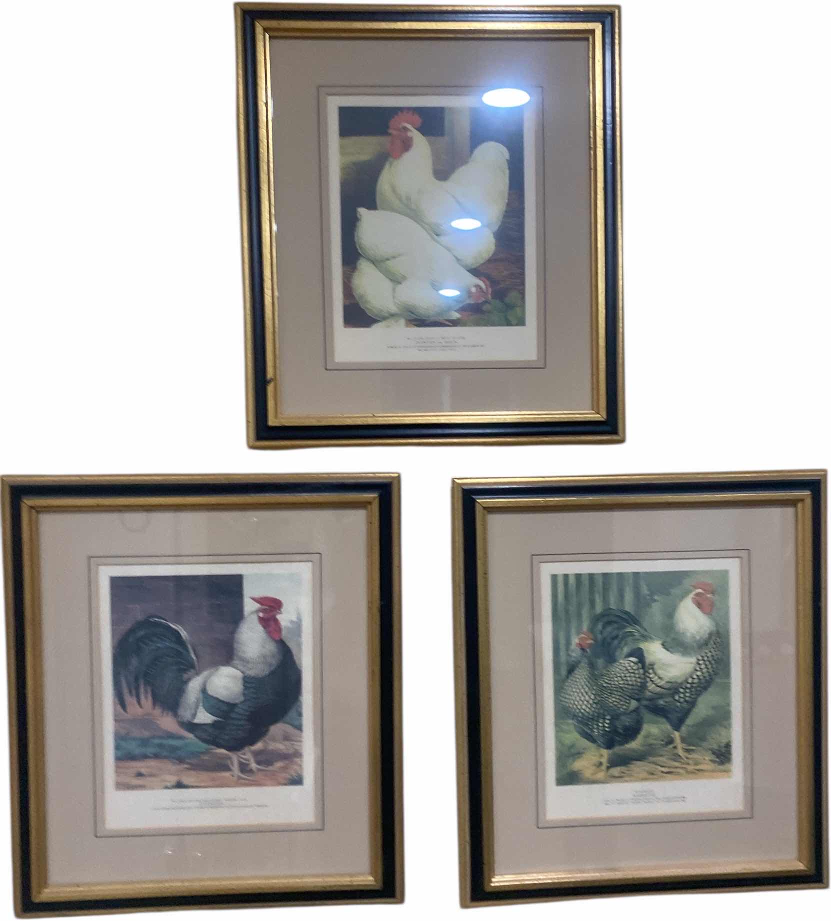 View 1 of 3 FRAMED CHICKEN PRINTS ARTWORK 14” x 15 1/2” & HANGING CHICKEN WITH HOOKS