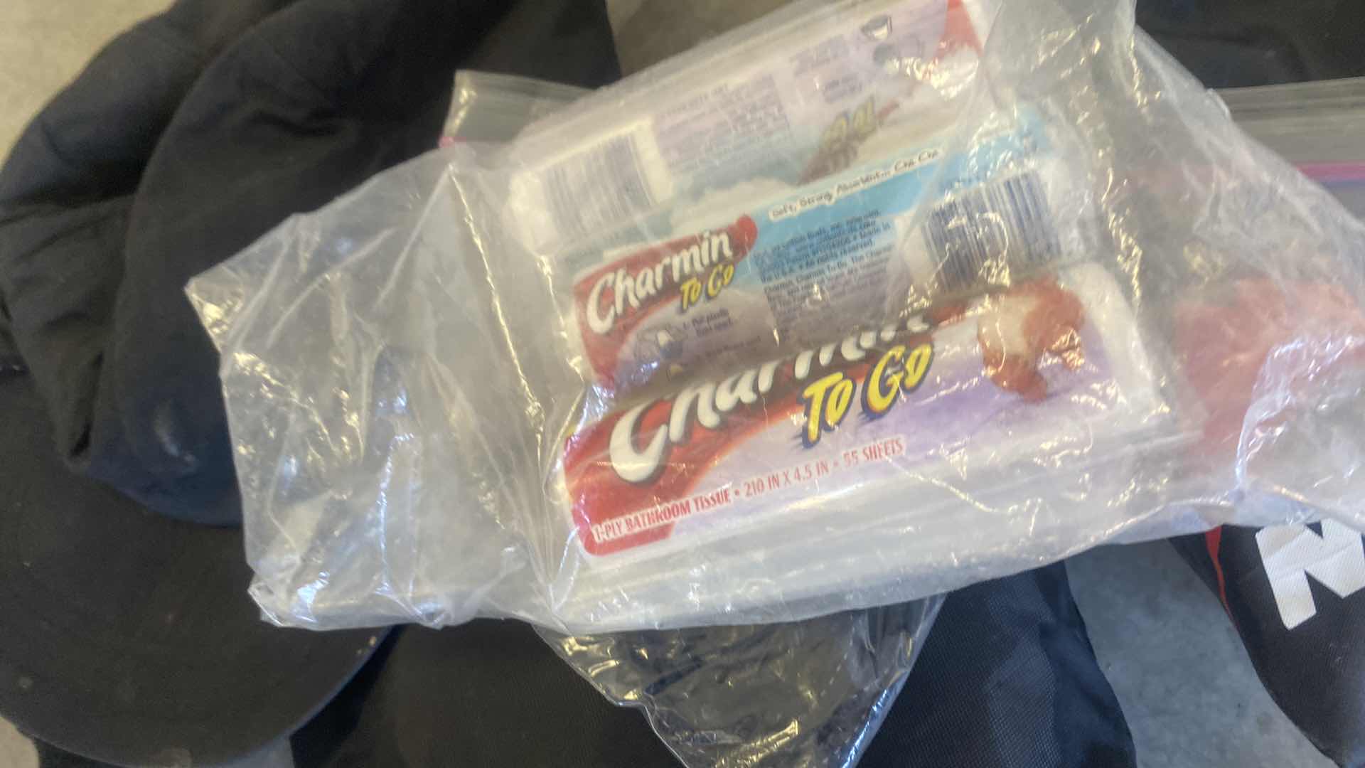 Photo 1 of 2 LARGE BACKPACKS & HIKING SUPPLIES IN TOTE