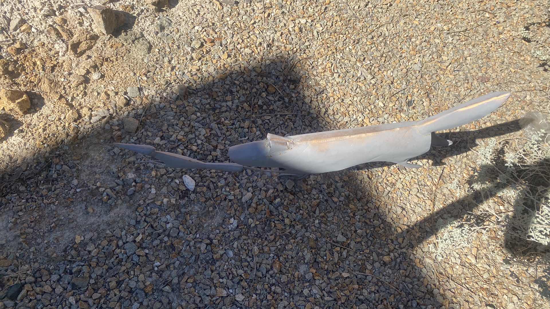 Photo 1 of METAL YARD ART ROAD RUNNER & COYOTE 20” x 36”