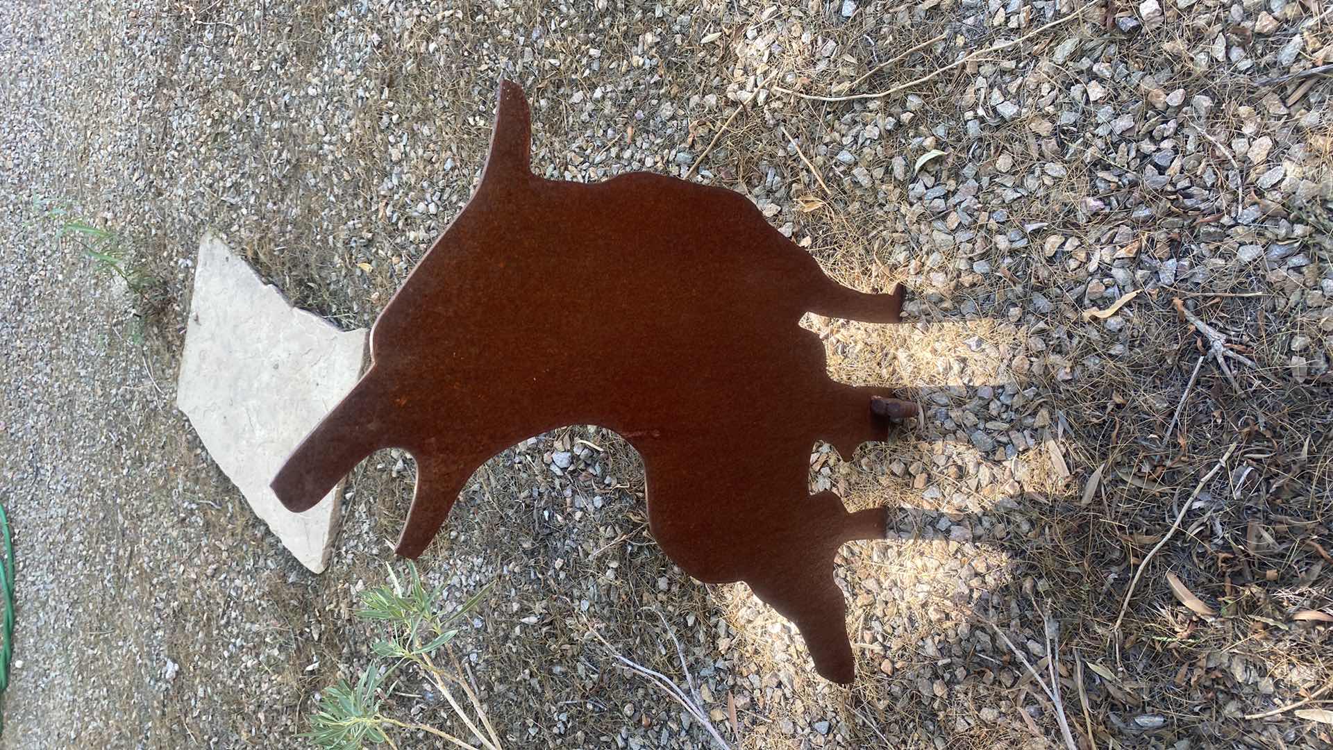 Photo 1 of METAL YARD ART COYOTE H32”