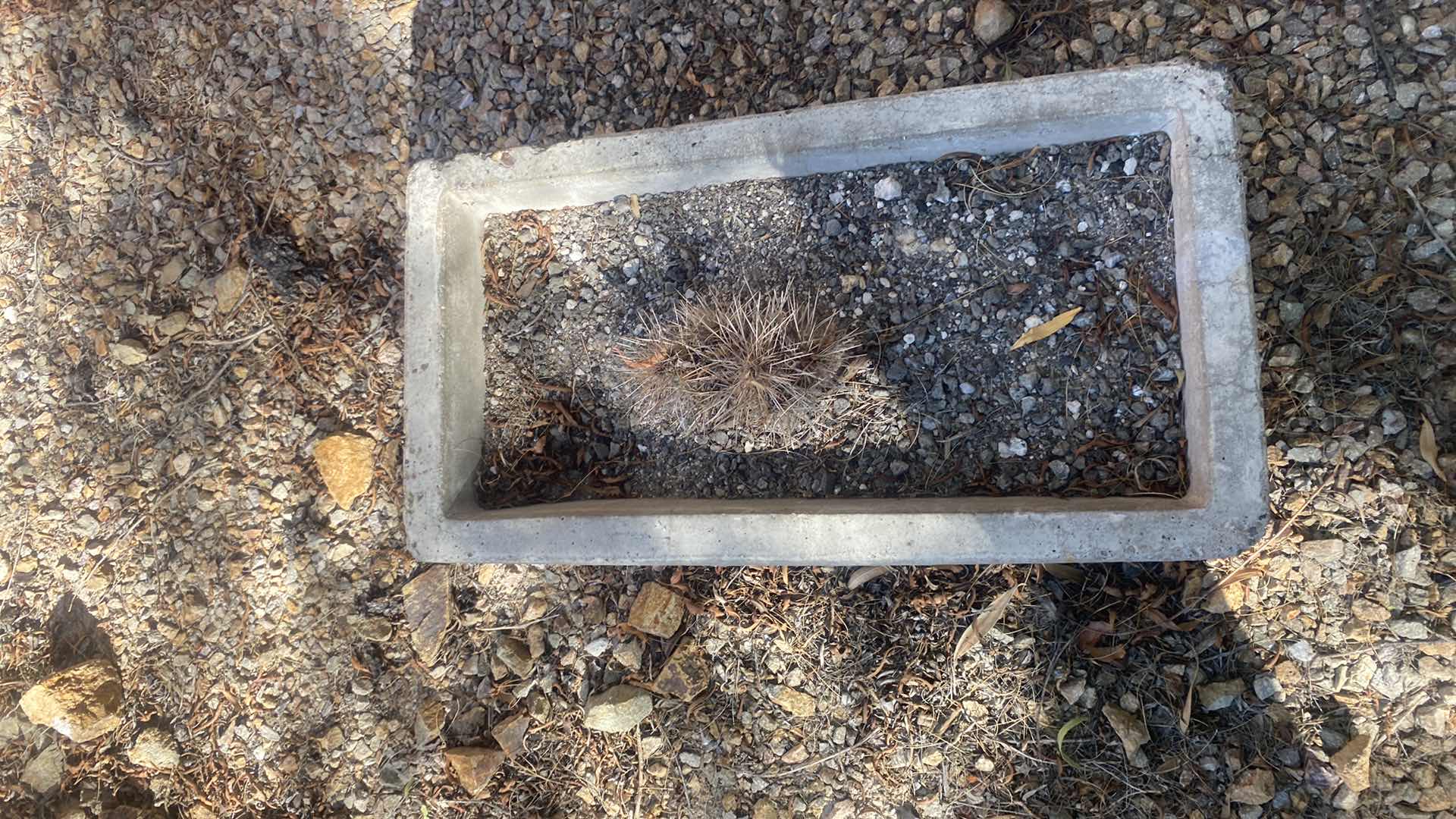 Photo 1 of HEAVY CONCRETE PLANTER 25” x 13” H10” (two available each sold separately)