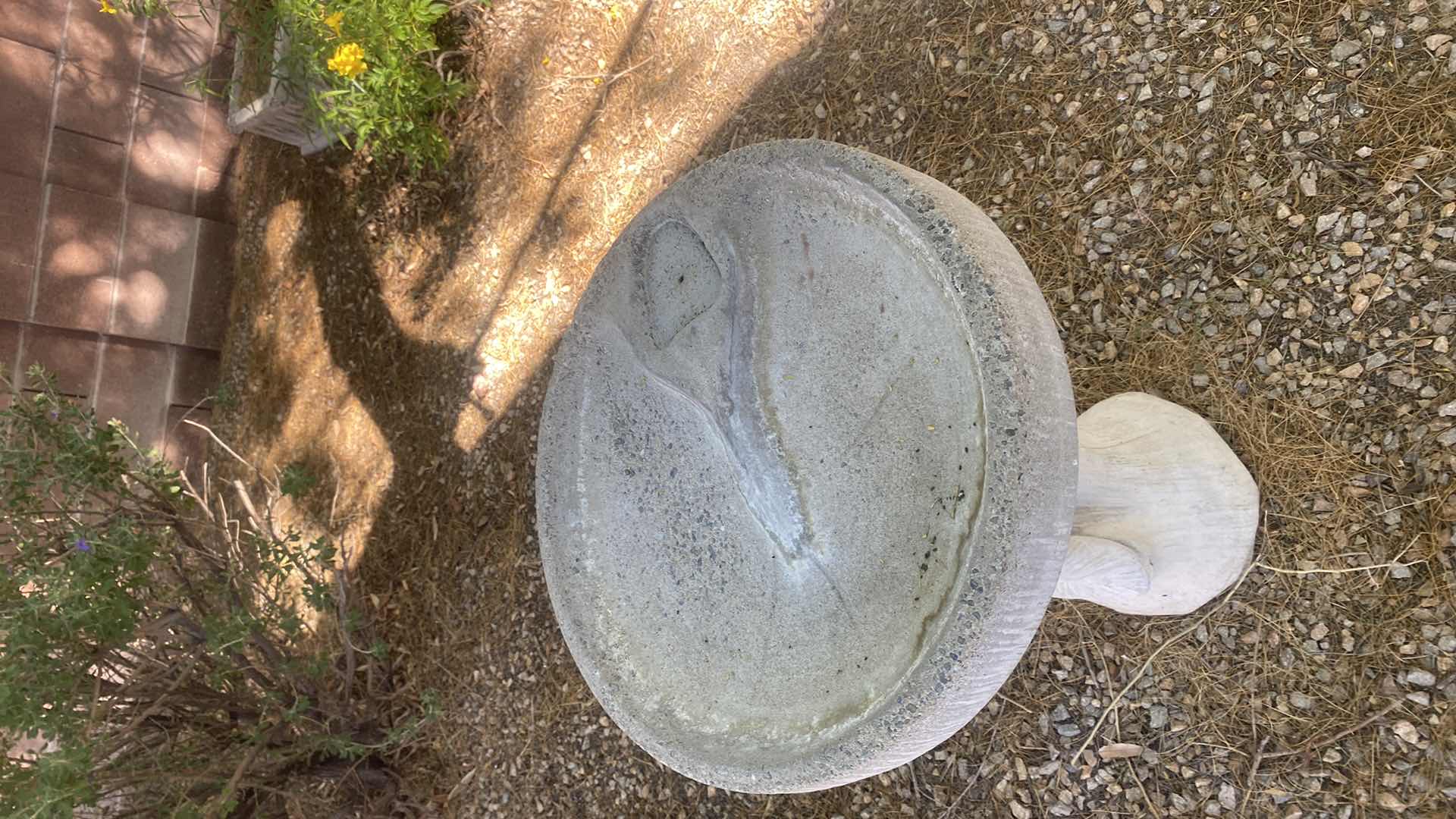 Photo 1 of HEAVY BIRDBATH H28”