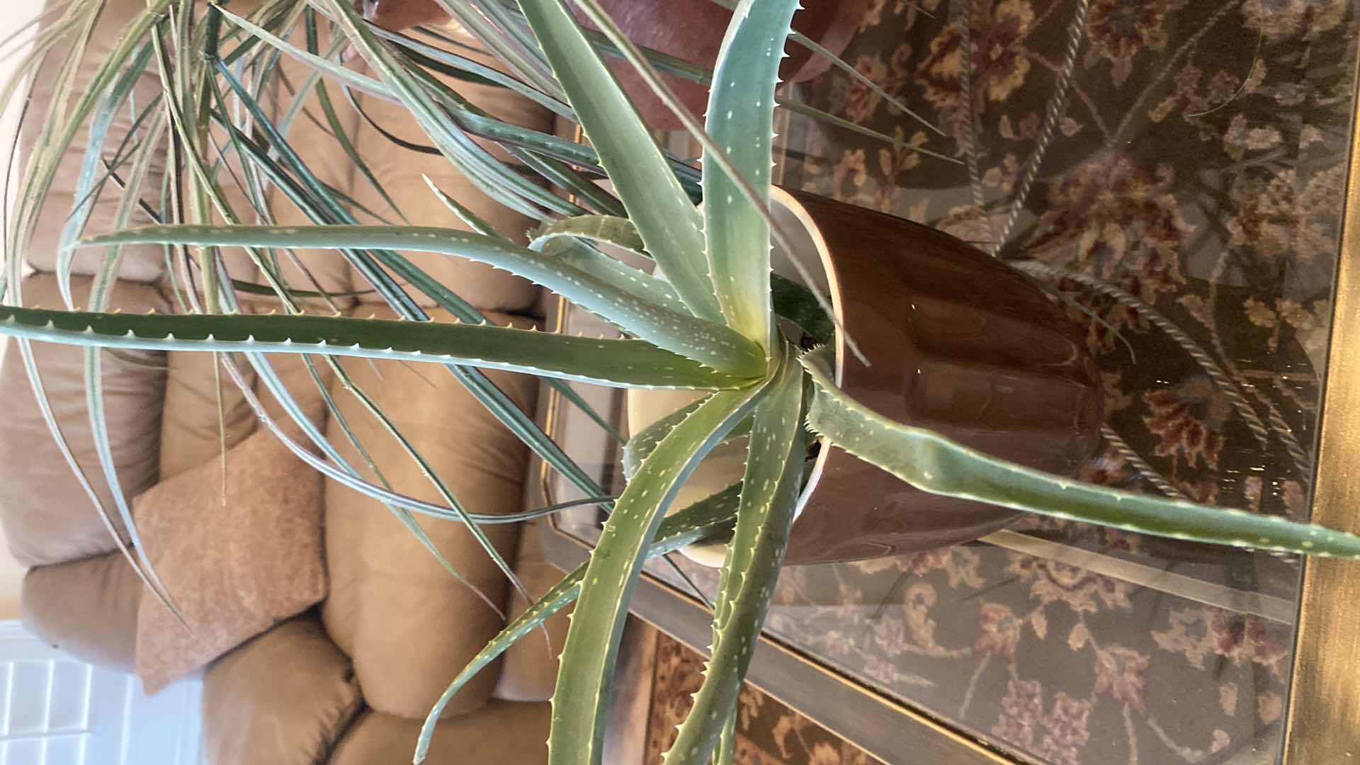 Photo 1 of 3-FAUX PLANTS LARGEST H22”