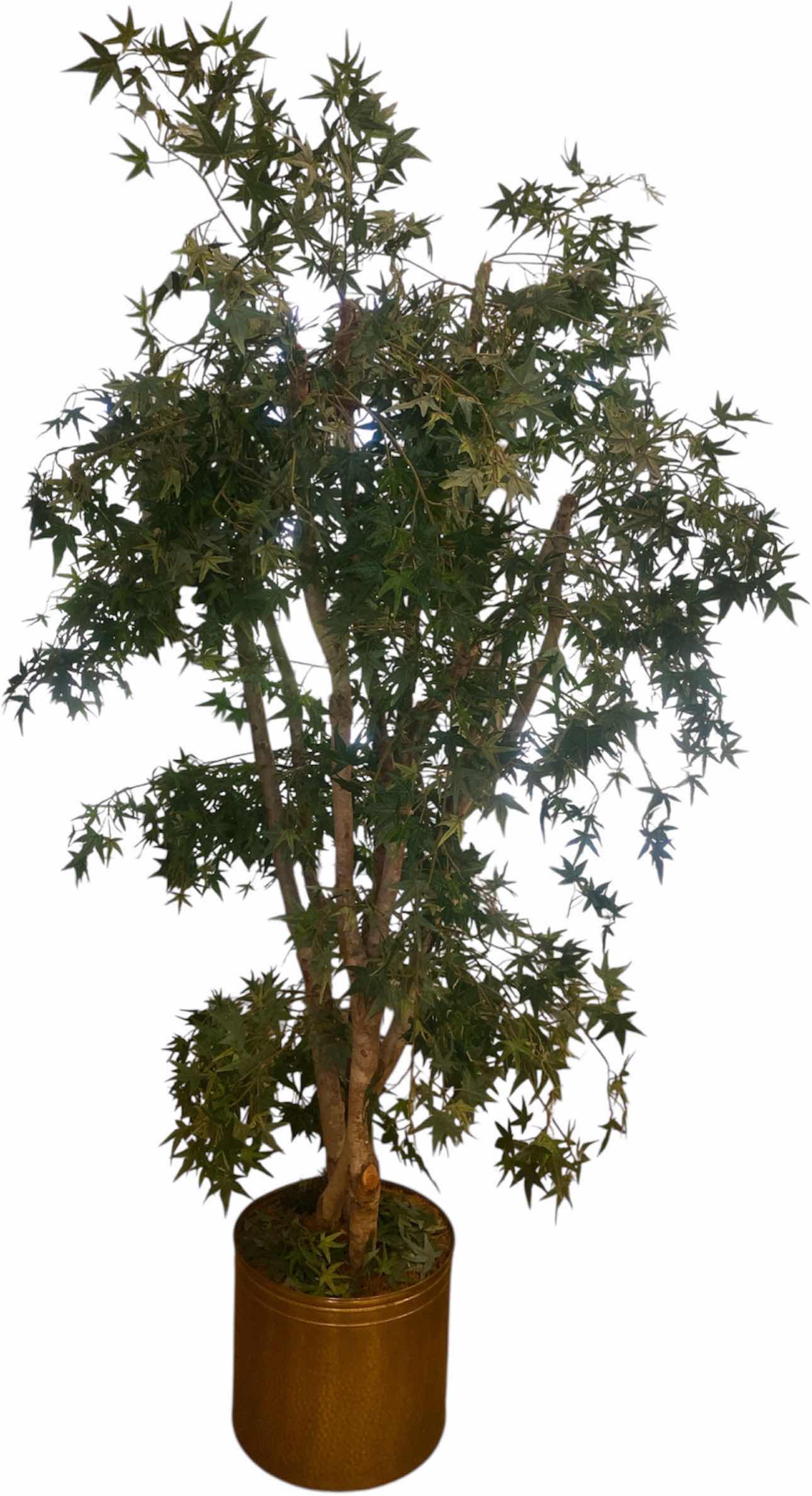 Photo 1 of FAUX TREE IN METAL POT 7’