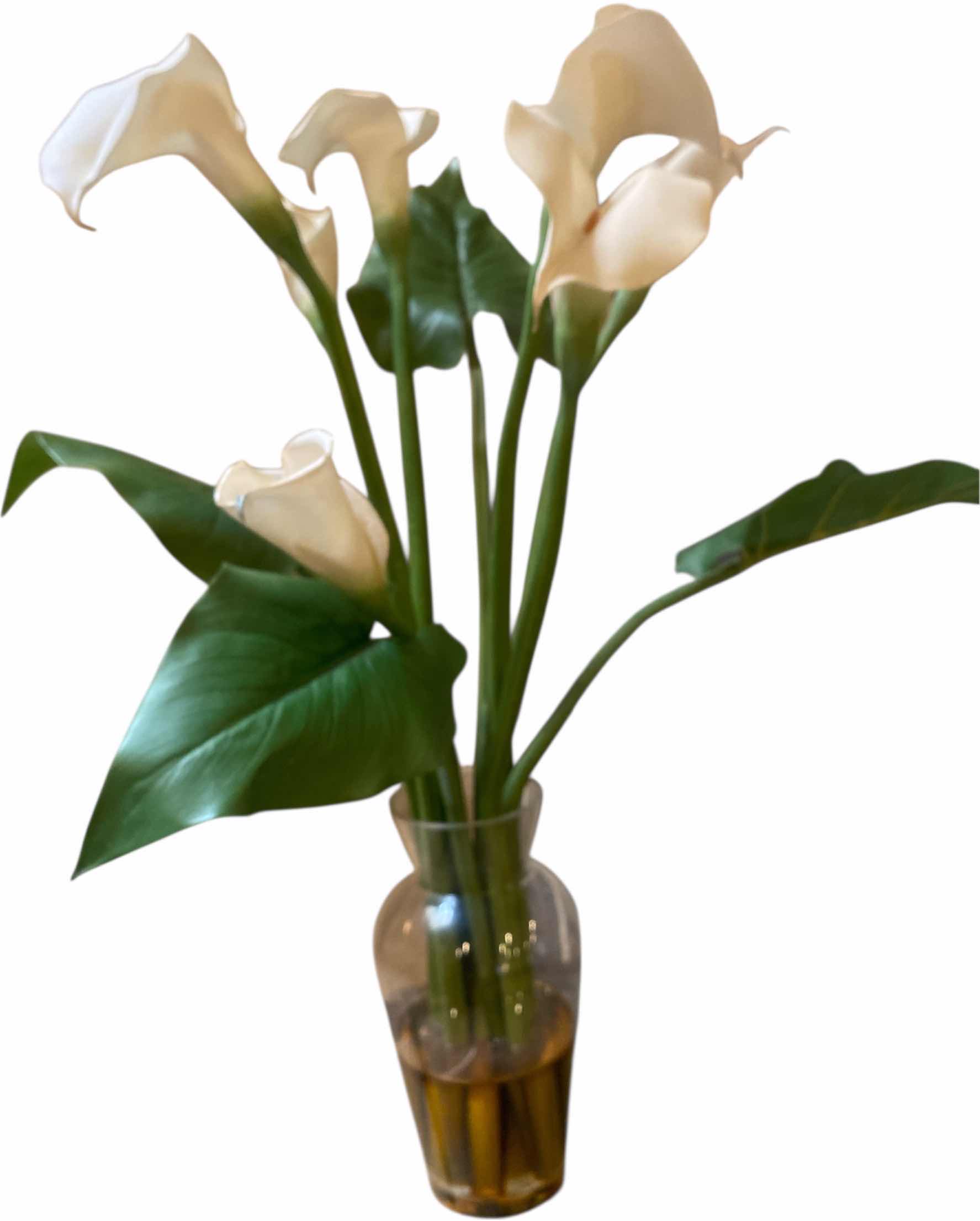 Photo 1 of FAUX CANAILLE IN GLASS WITH FLOATING WATER H30”