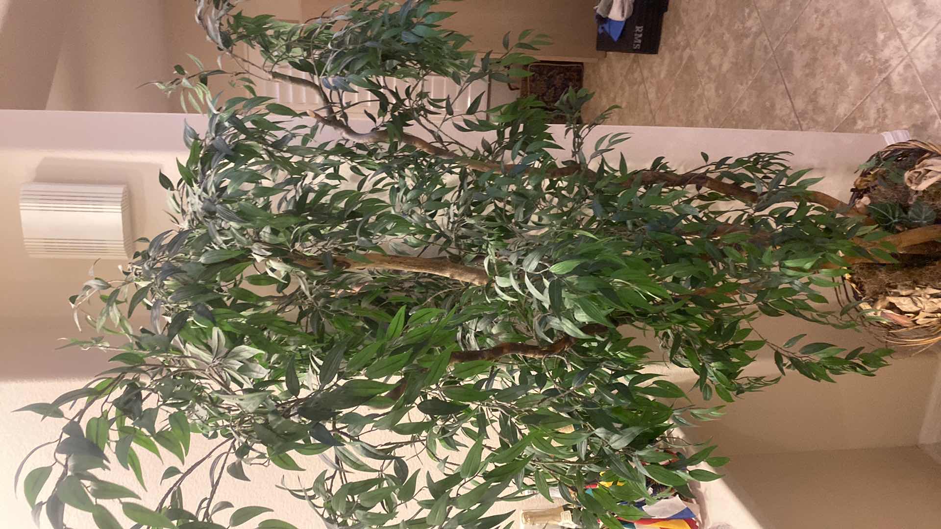 Photo 1 of FAUX FICUS TREE IN STRAW POT H7’