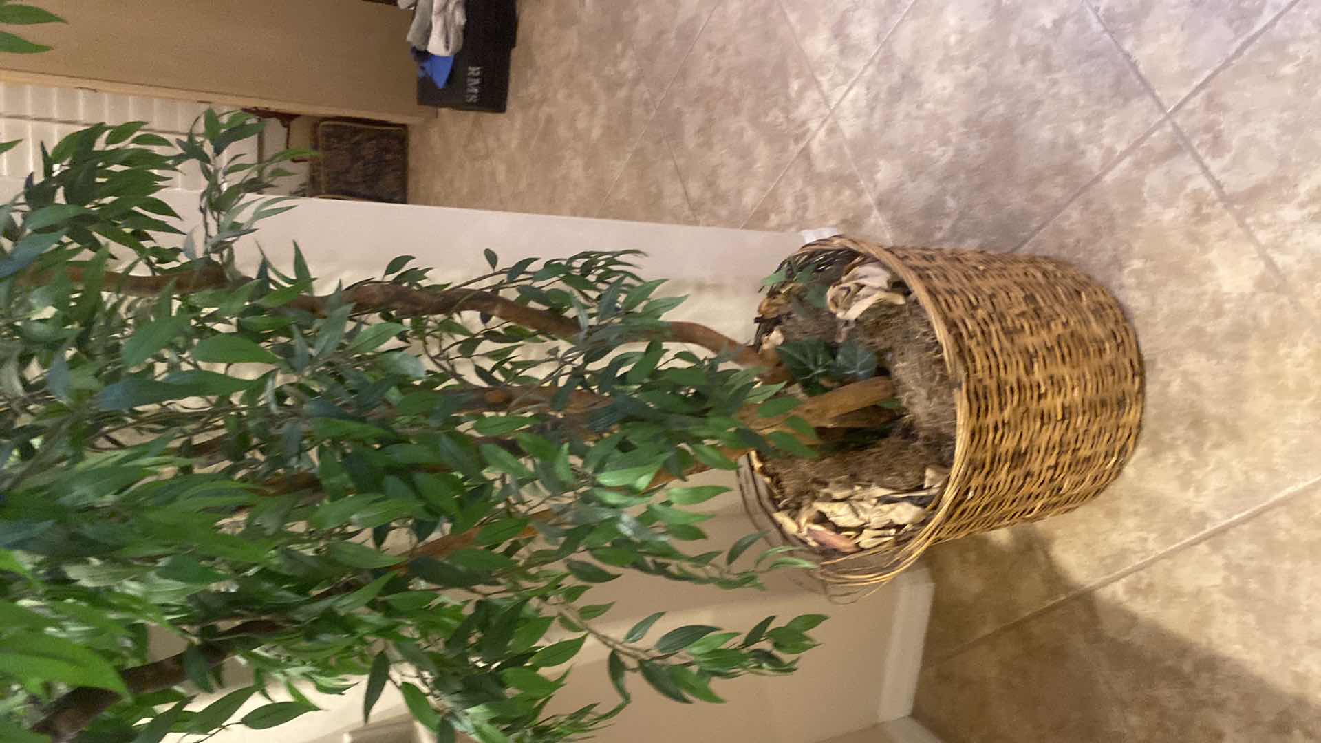 Photo 1 of FAUX FICUS TREE IN STRAW POT H7’