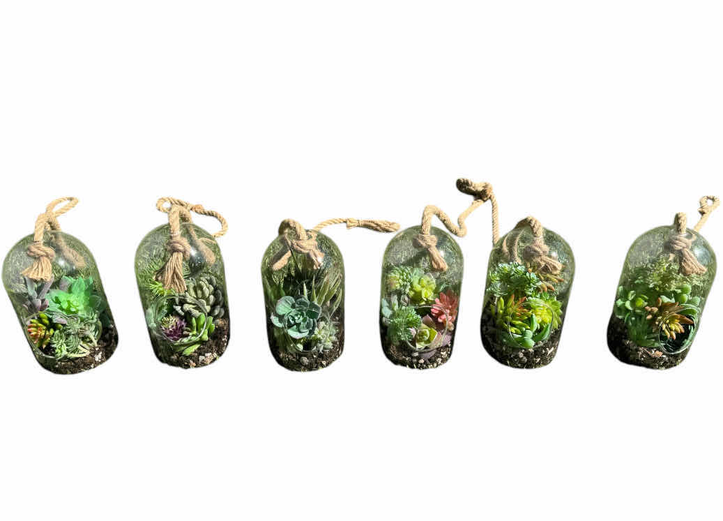 Photo 1 of 6- FAUX SUCCULENTS, GLASS DOME TERRARIUM, DECORATIVE OUTDOOR/INDOOR HANGING PLANTER

D4” X H7”